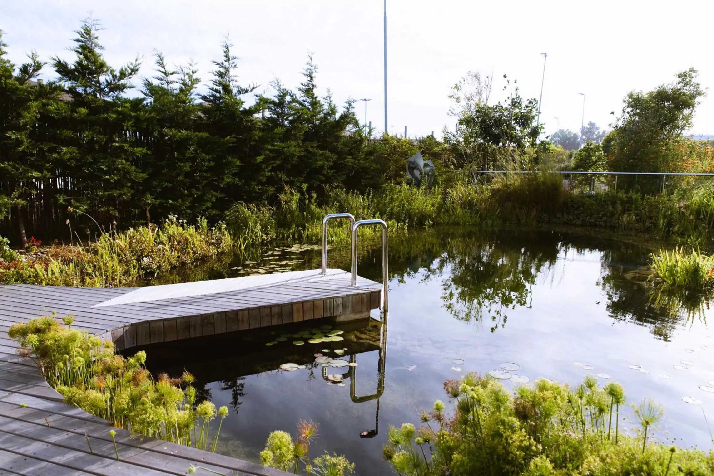 Swimming pool in Hotel Verde Cape Town Airport