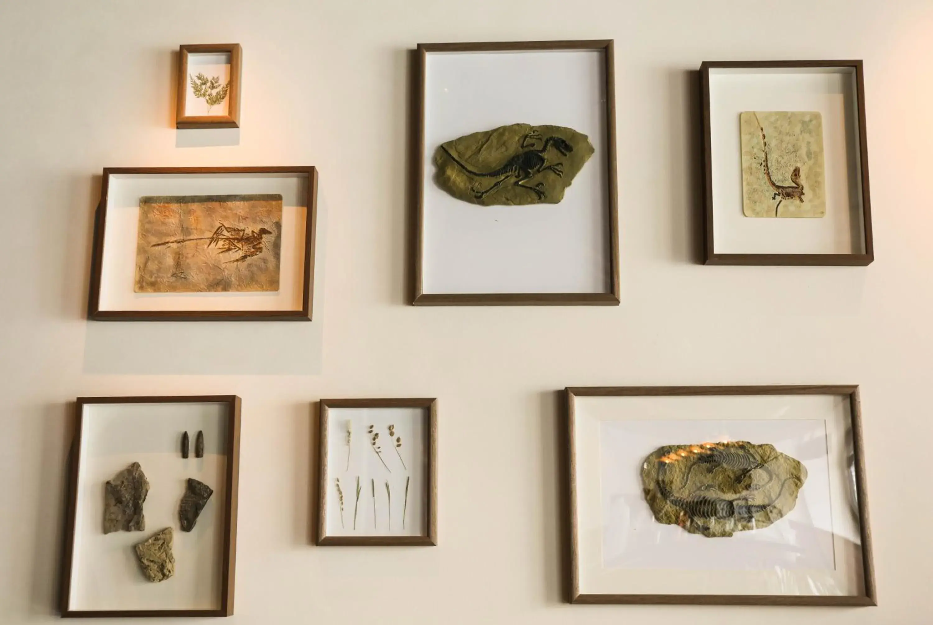 Lounge or bar in SONDERIA Lazybones Hostel- Wenshu Temple Side, Chill Hostel with All-Day Brunch, Travel Agency in English & Local Bar Vibes Lounge or bar in SONDERIA Lazybones Hostel- Wenshu Temple Side, Chill Hostel with All-Day Brunch, Travel Agency in English & Local Bar Vibes