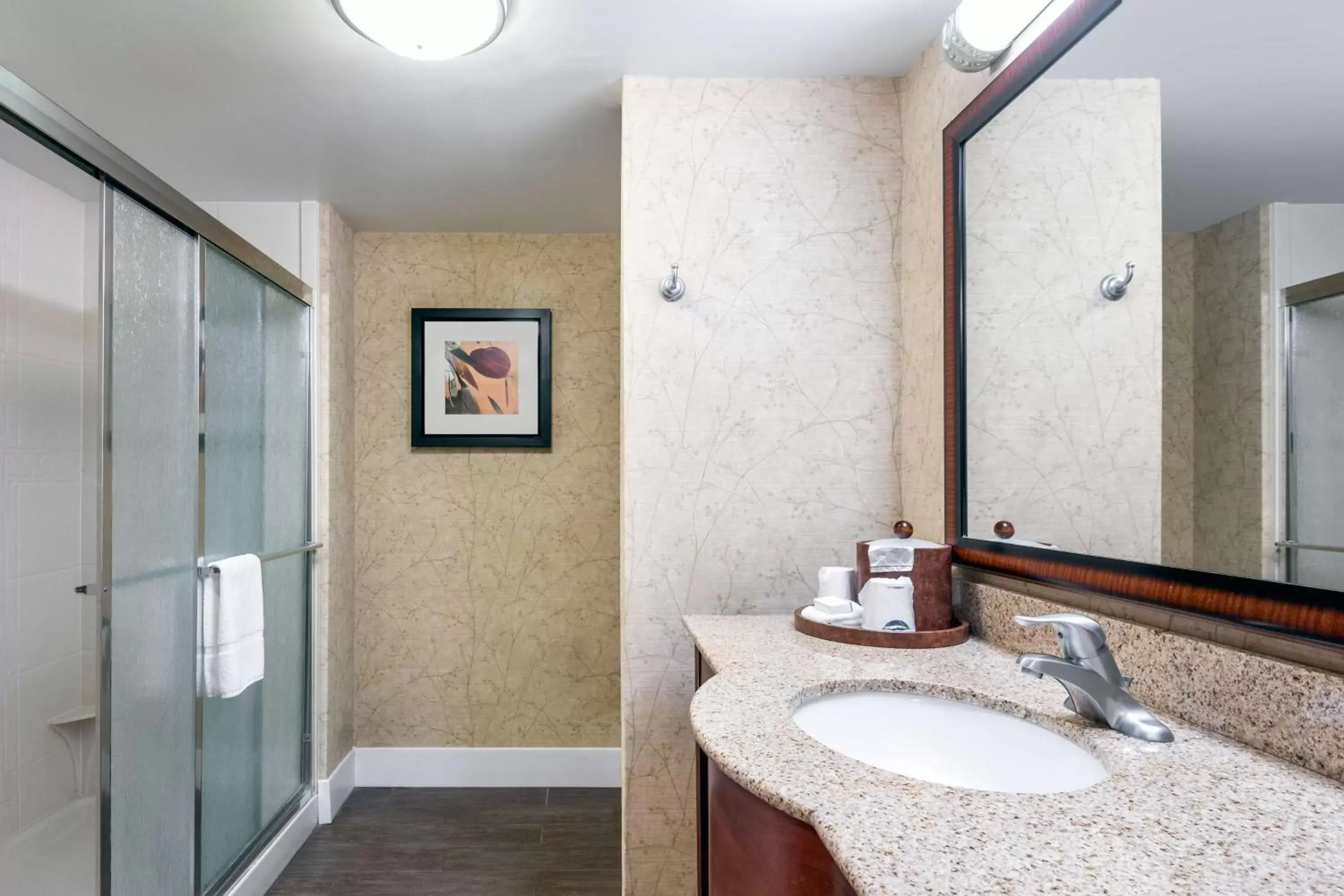 Bathroom in Hampton Inn Roanoke/Hollins - I-81