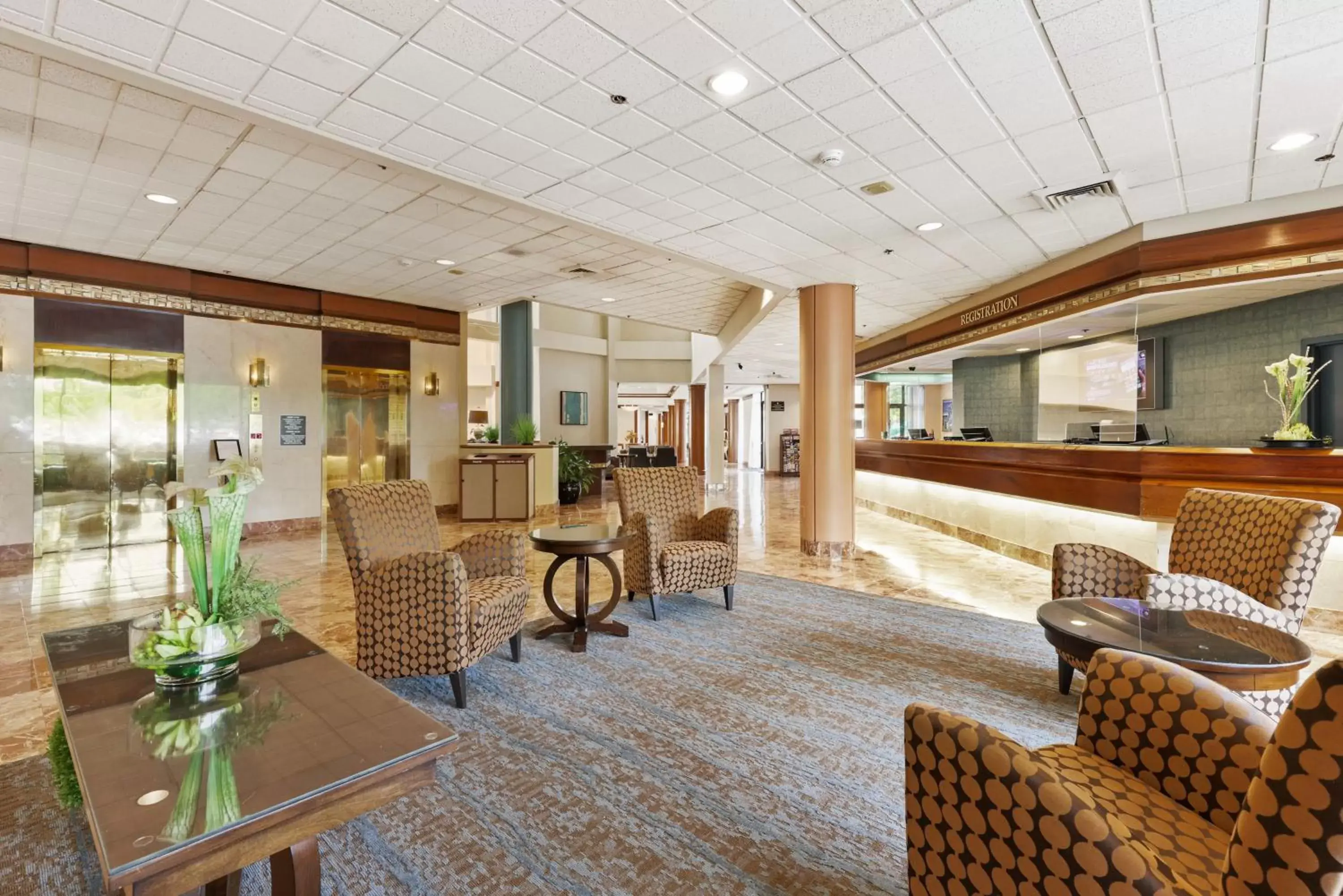 Lobby or reception, Lounge/Bar in Turf Valley Resort