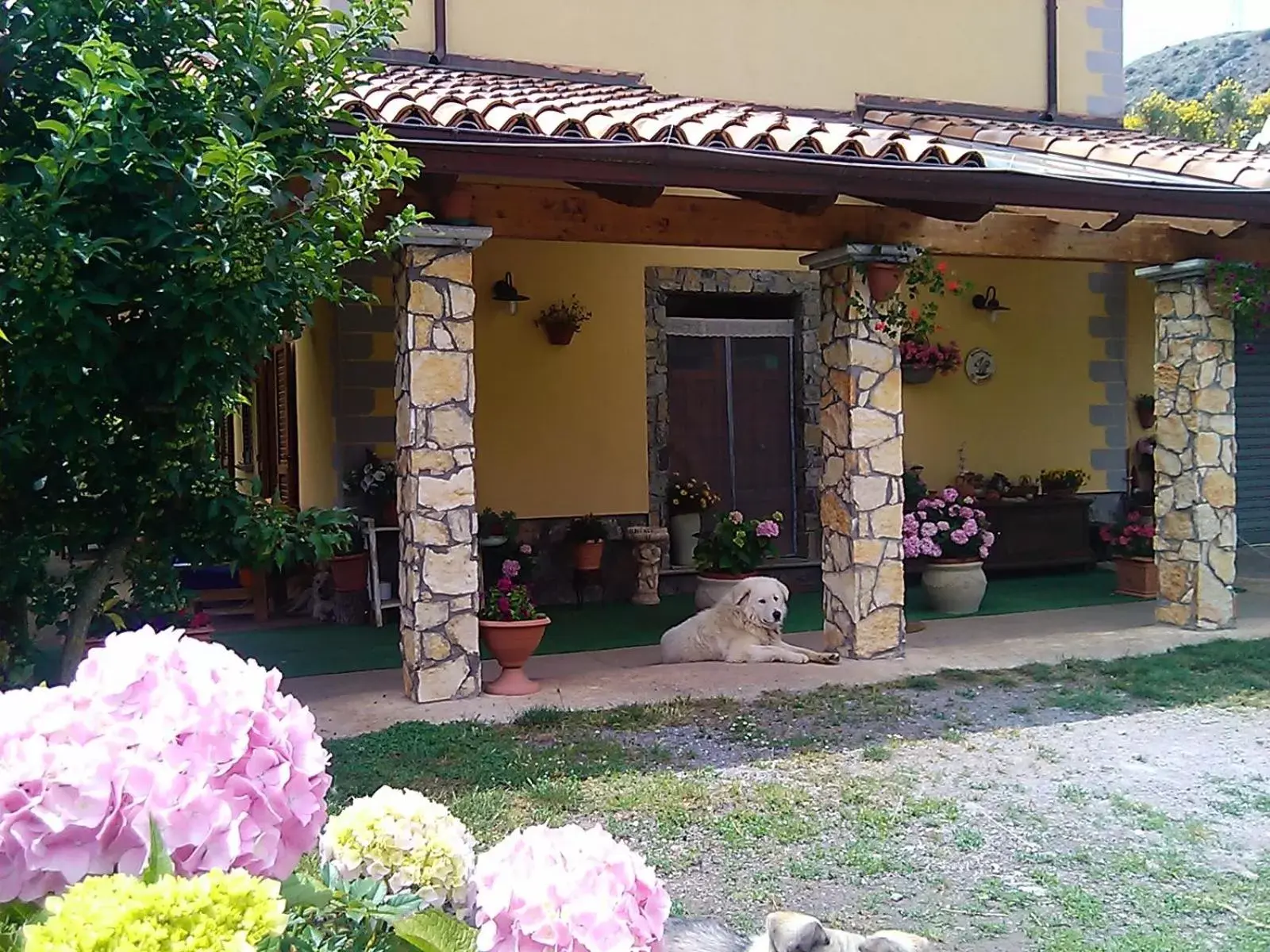 Pets in B&B Il Ghiro-Country House