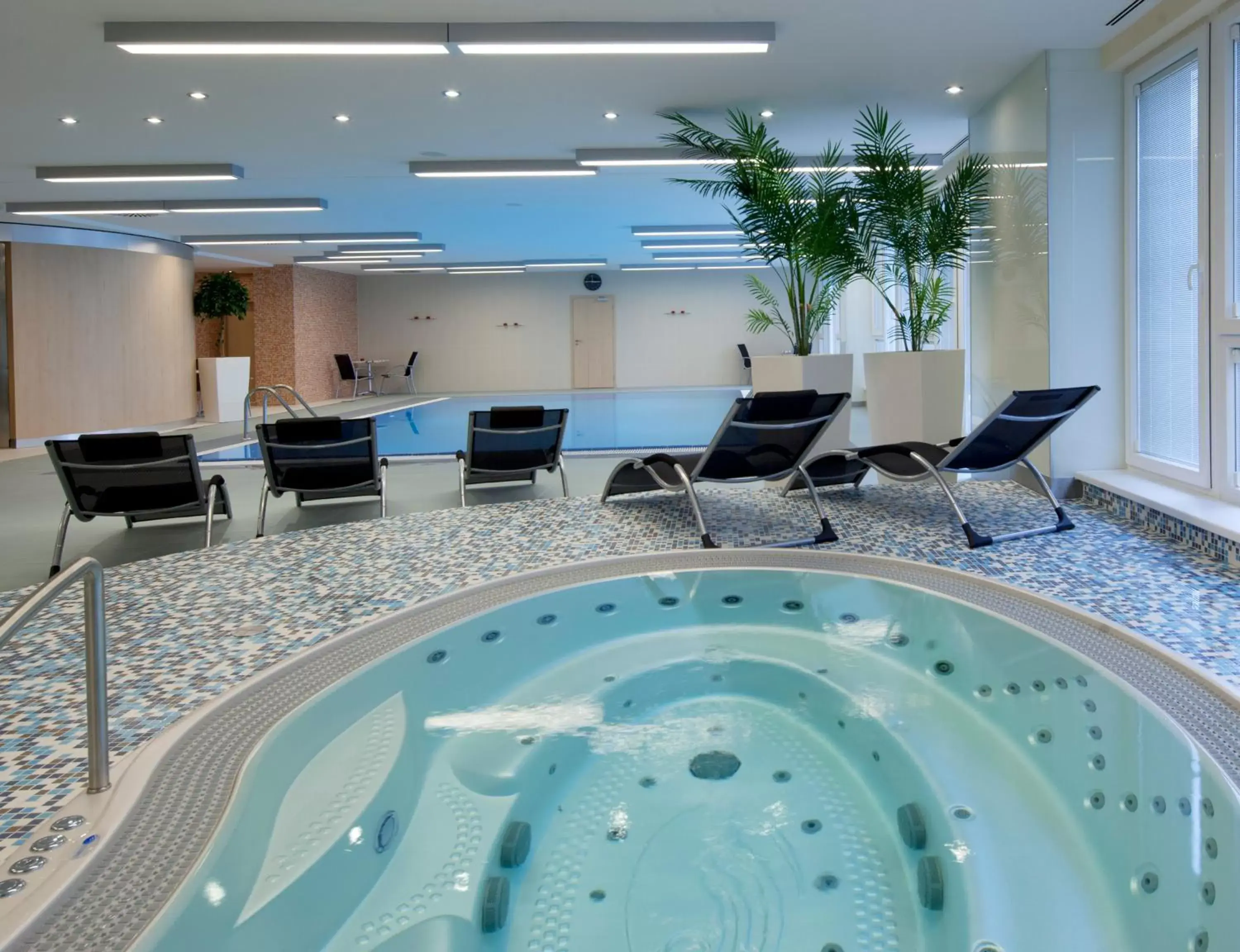 Hot Tub, Swimming Pool in Clarion Congress Hotel Ostrava