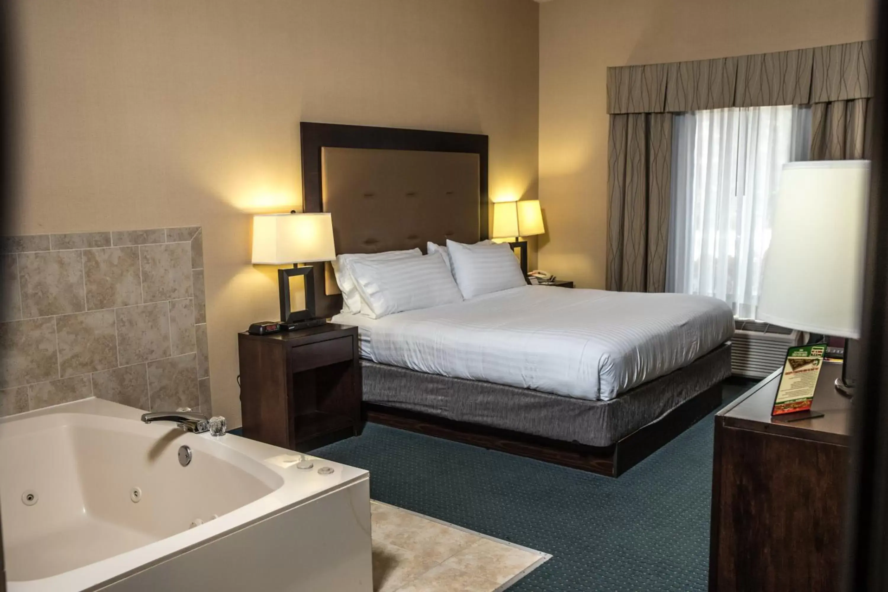Deluxe King Room in Holiday Inn Express & Suites Detroit - Novi by IHG Deluxe King Room in Holiday Inn Express & Suites Detroit - Novi by IHG