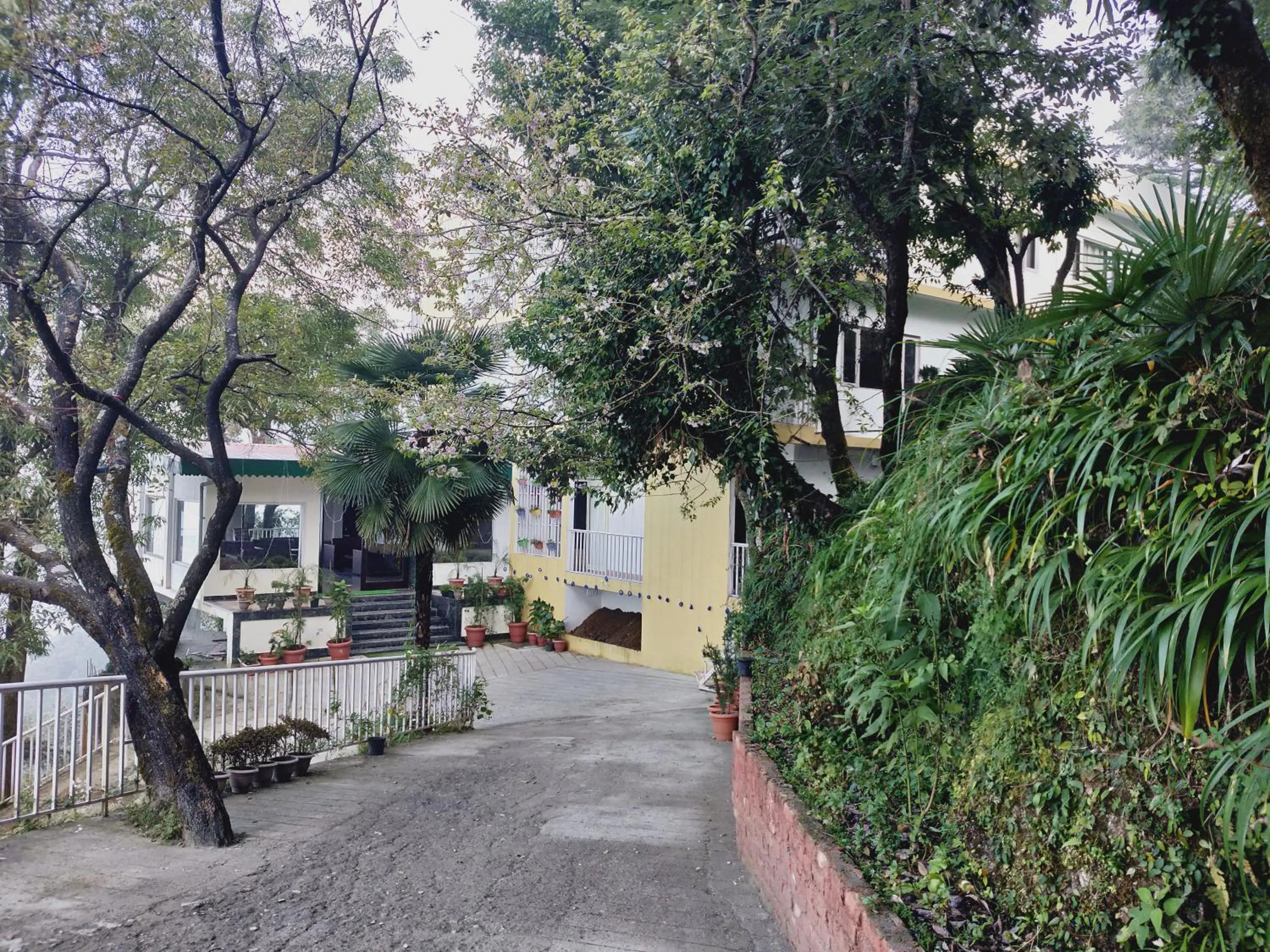 Property building in The Mountain Quail