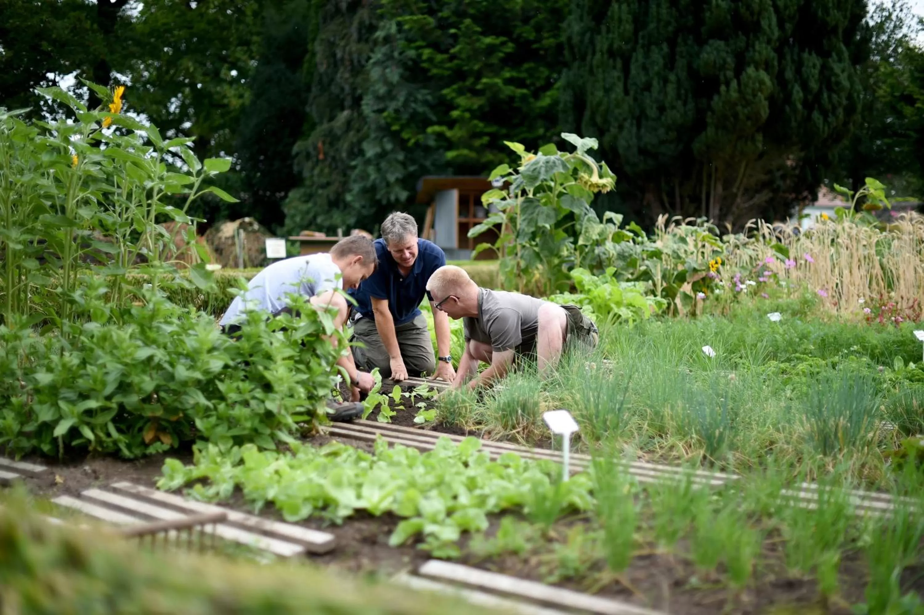 Garden in Kloster Frauenberg