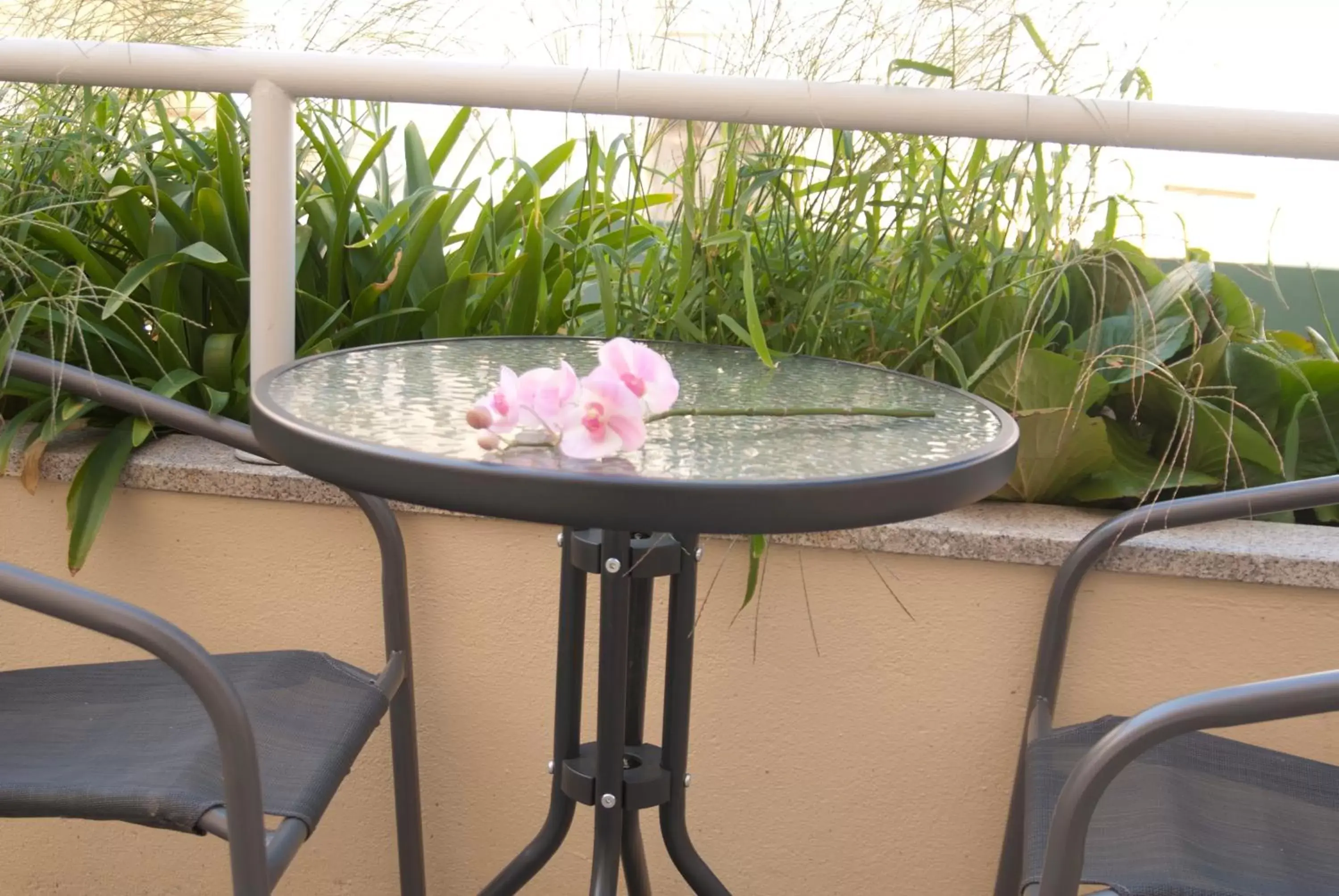 Day, Patio/Outdoor Area in Hotel Rainha D. Amélia, Arts & Leisure