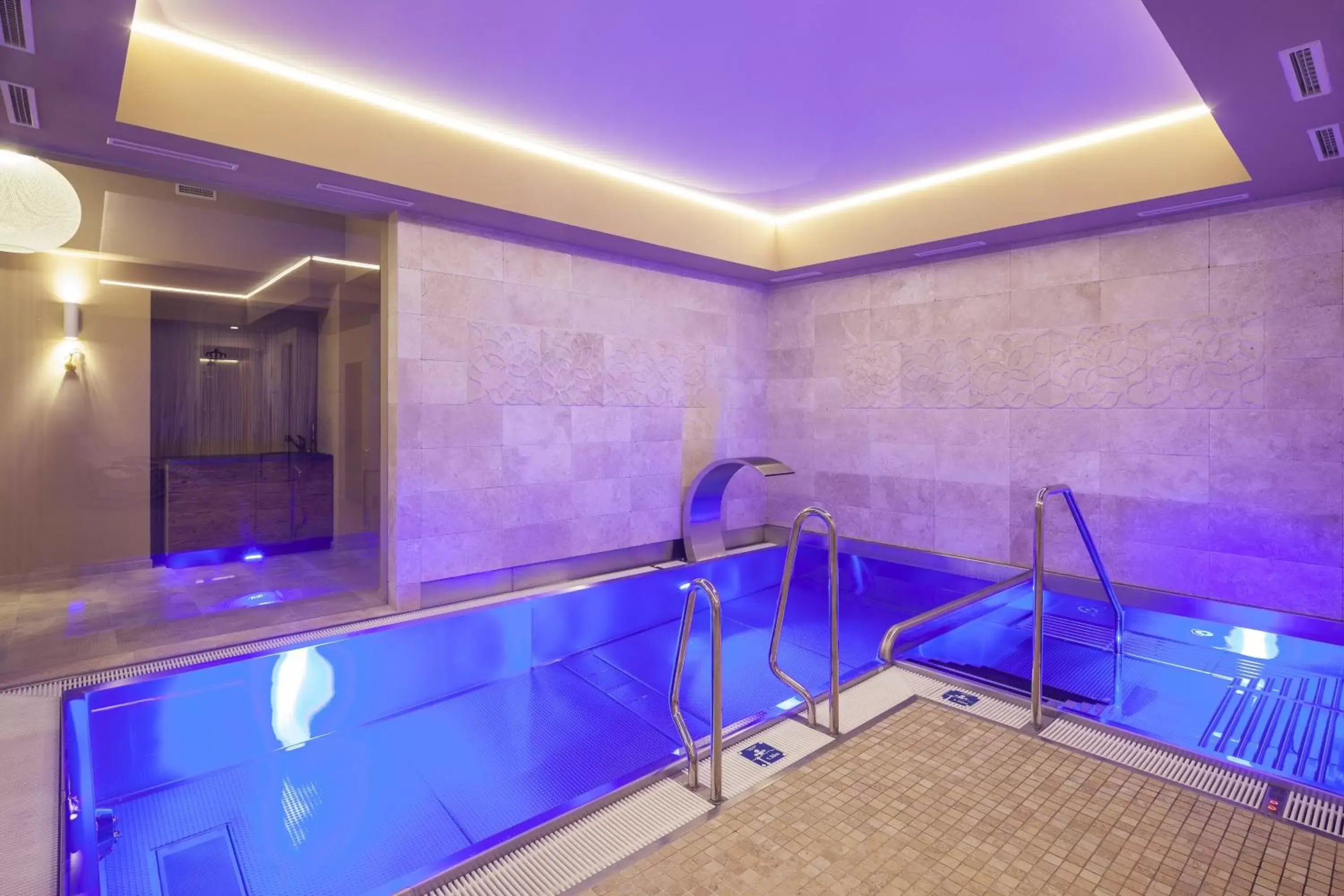Hot Tub, Swimming Pool in Kosher Hotel King David Prague