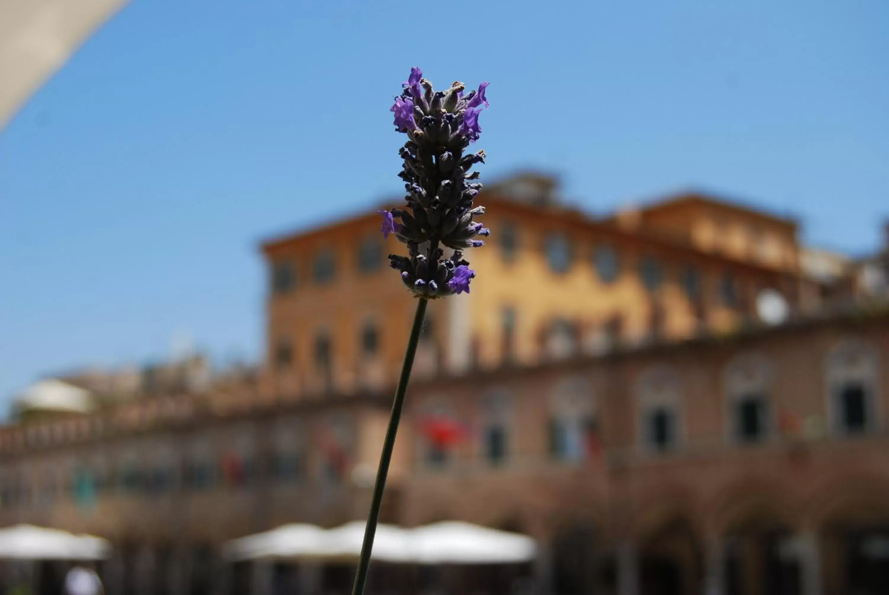 Property Building in A Casa di Lola