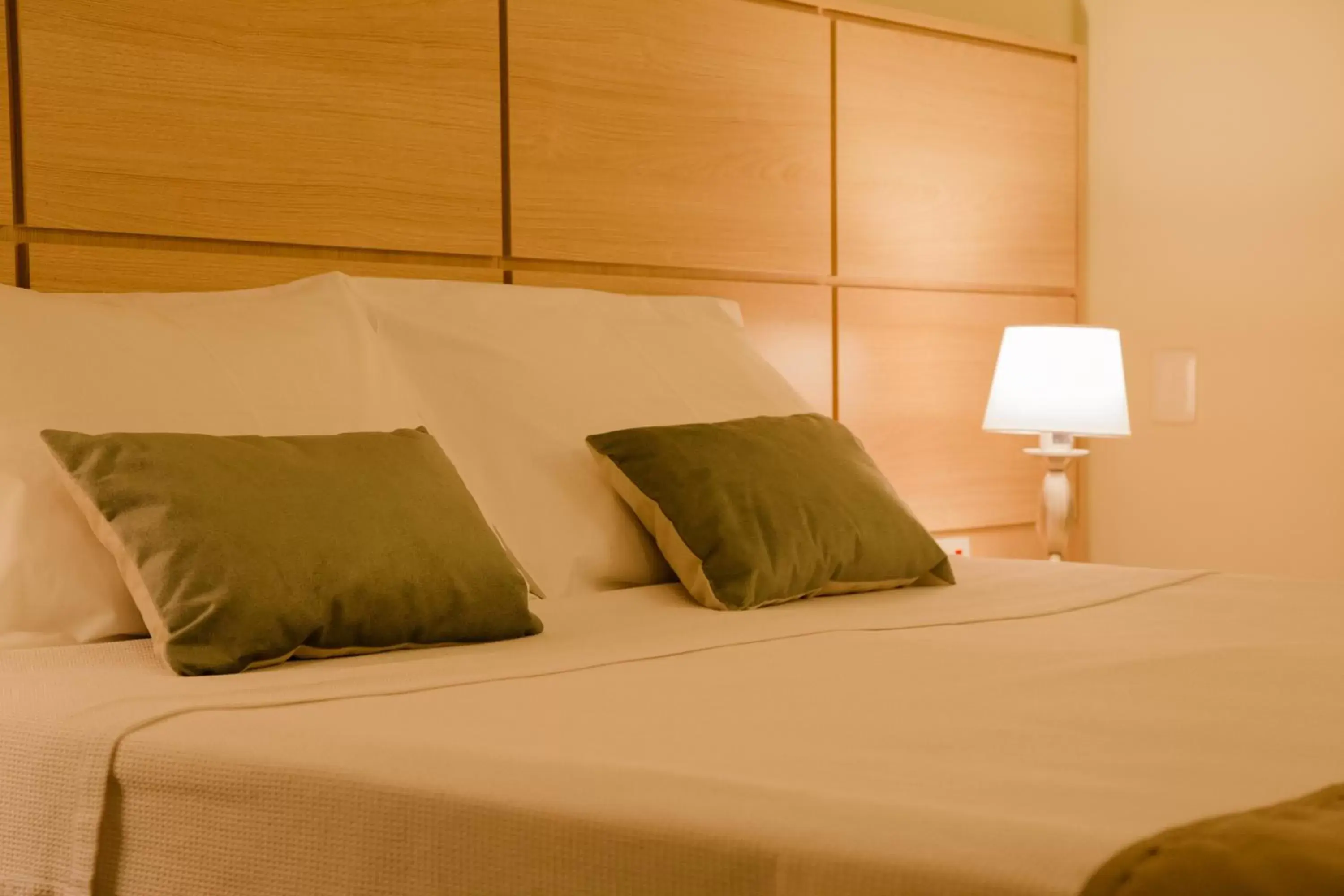 Executive Double Room - single occupancy in Dan Inn Uberaba & Convenções