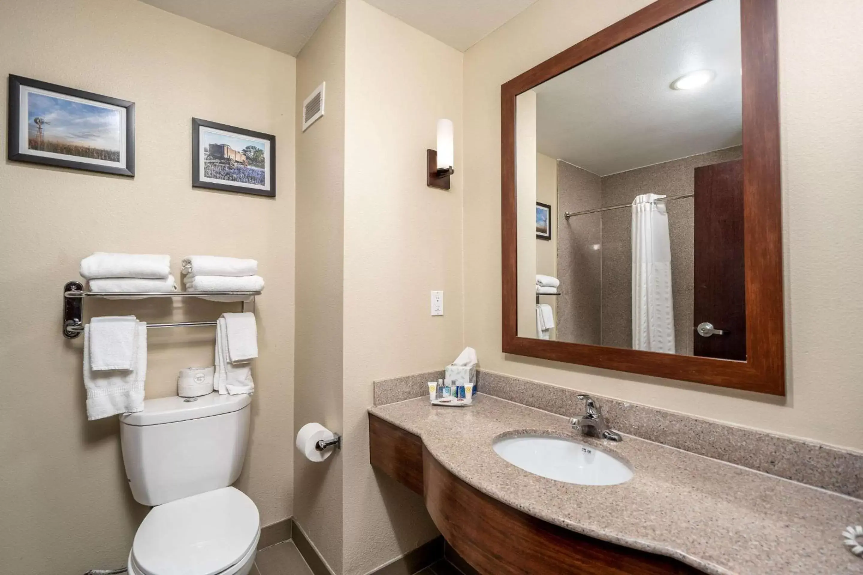 Bedroom, Bathroom in Comfort Suites University Abilene