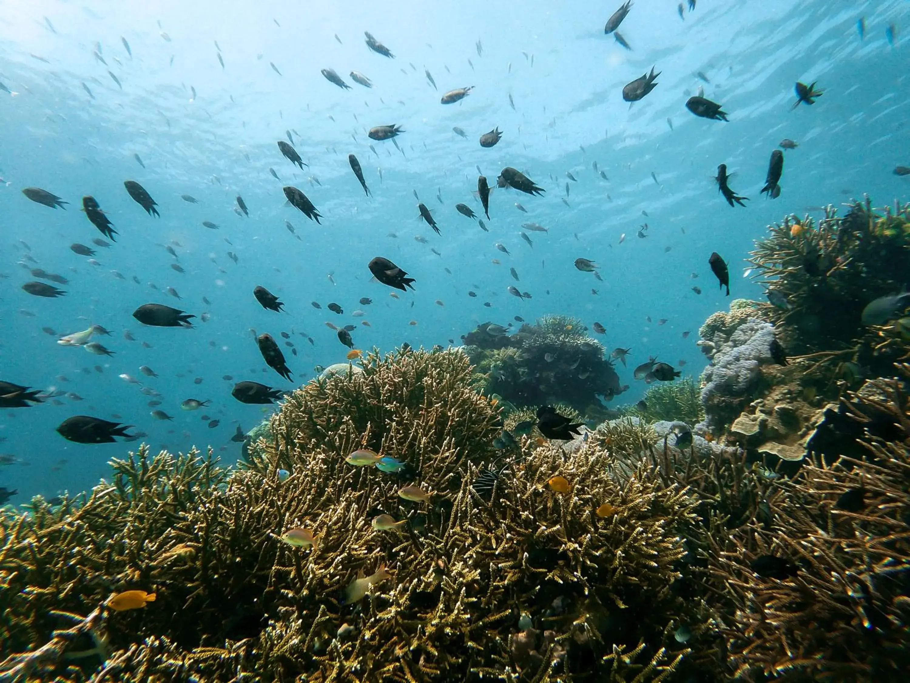 Natural landscape in Menjaga Bay