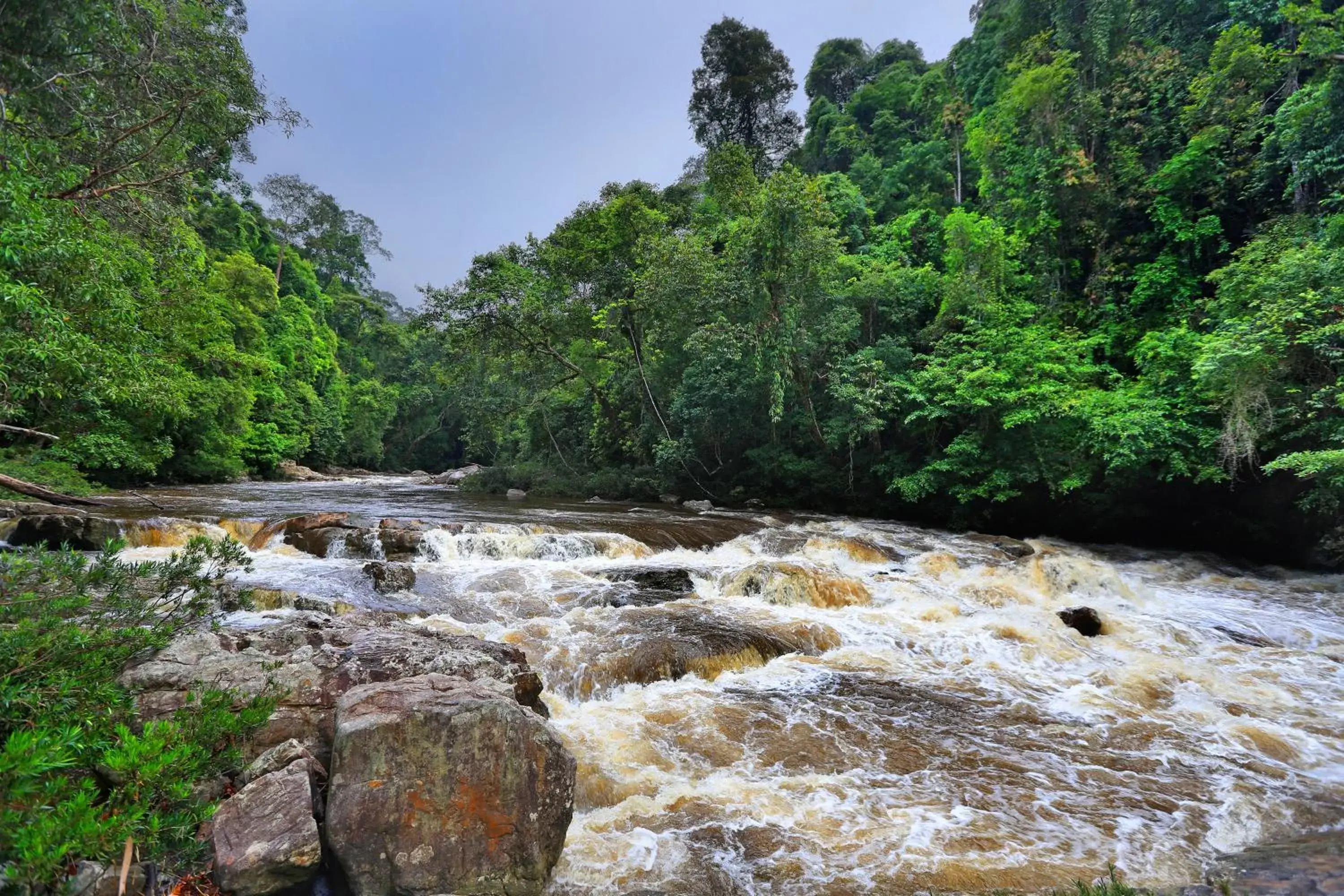 Area and facilities, Natural Landscape in Mutiara Taman Negara