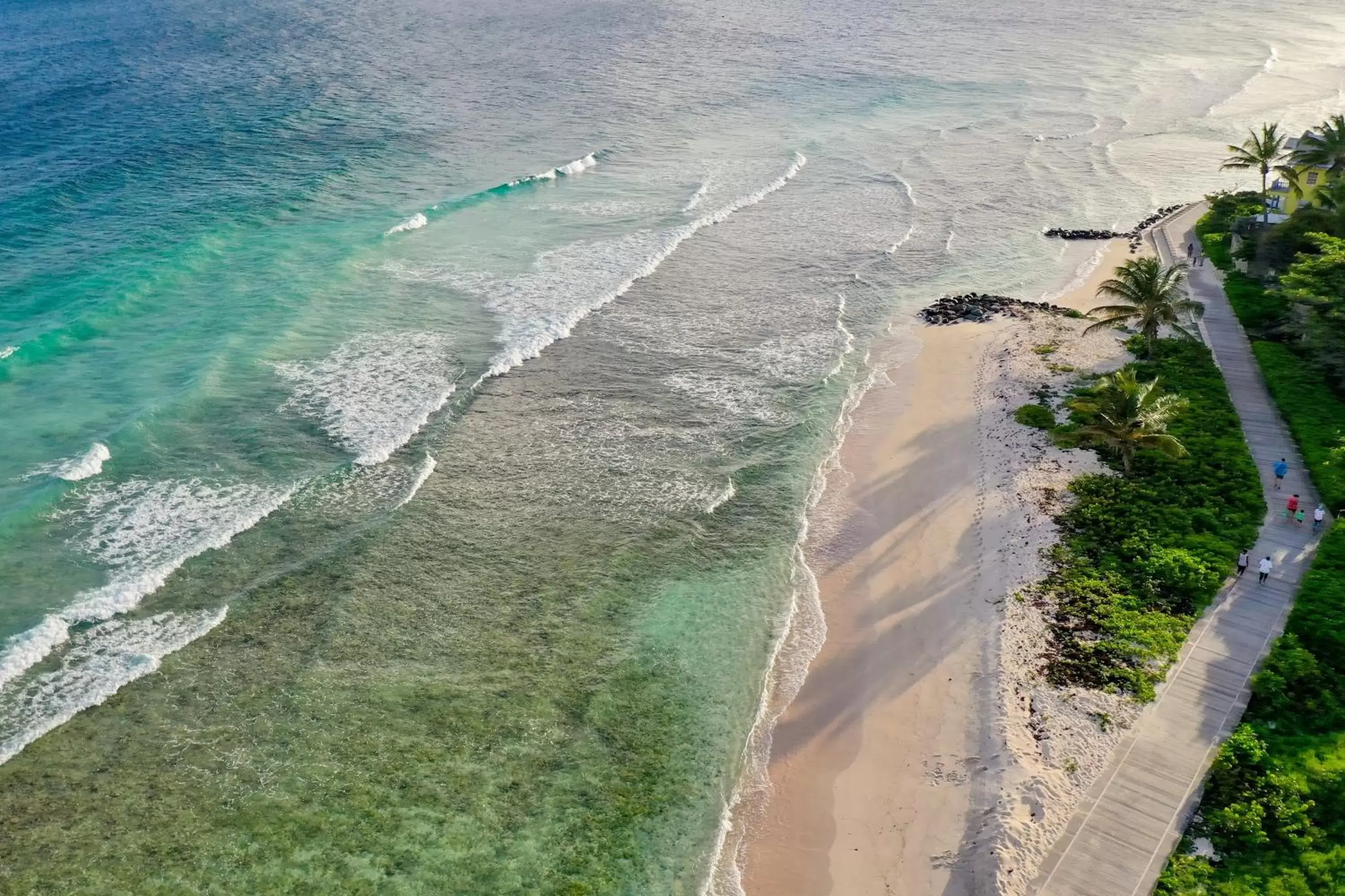 Natural landscape, Bird's-eye View in Courtyard by Marriott Bridgetown, Barbados