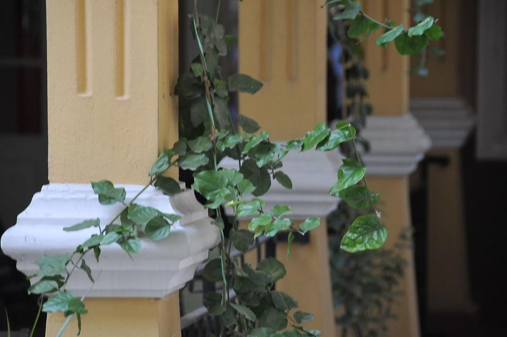 Facade/entrance in Antikhan Hotel
