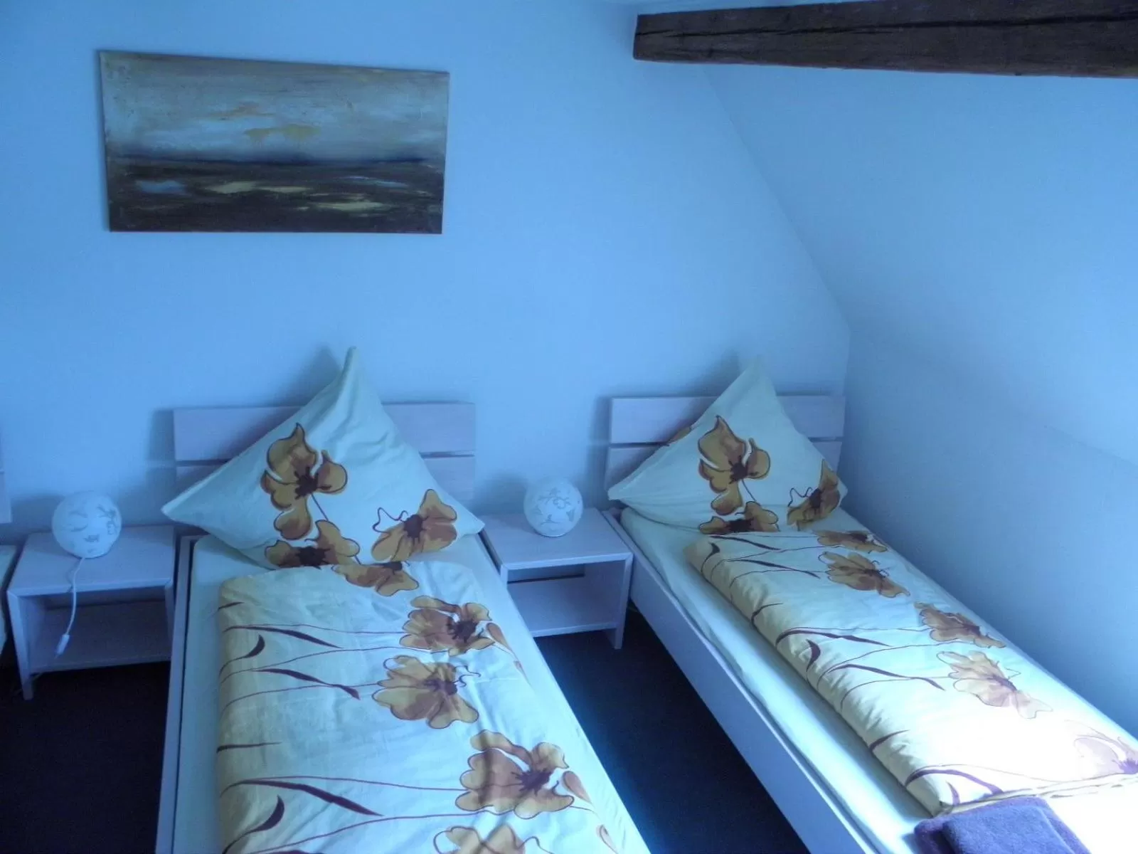 Basic Triple Room with Shared Bathroom in Alb Hotel Schalksburg