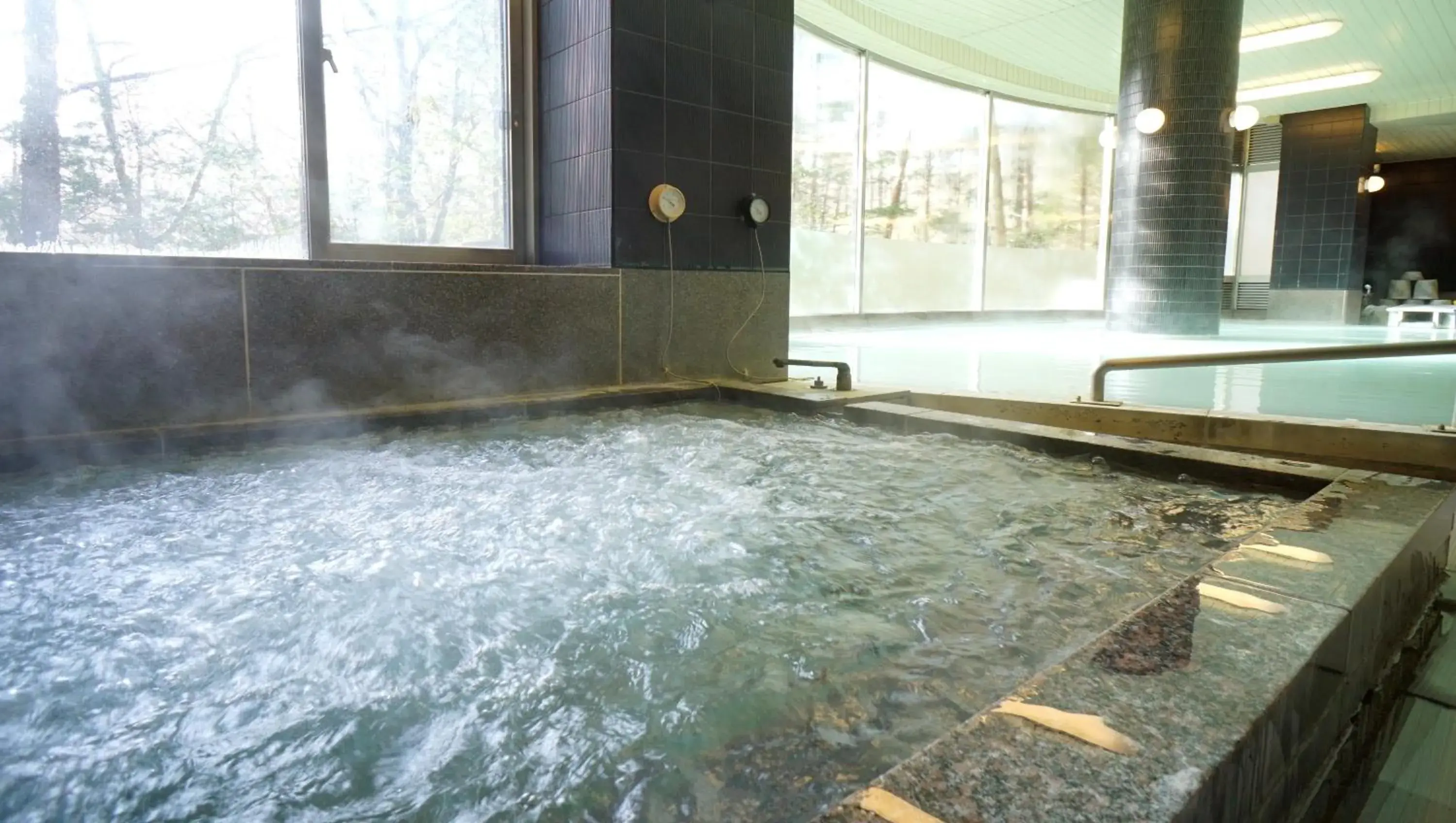 Hot Spring Bath, Swimming Pool in Hotel Laforet Nasu