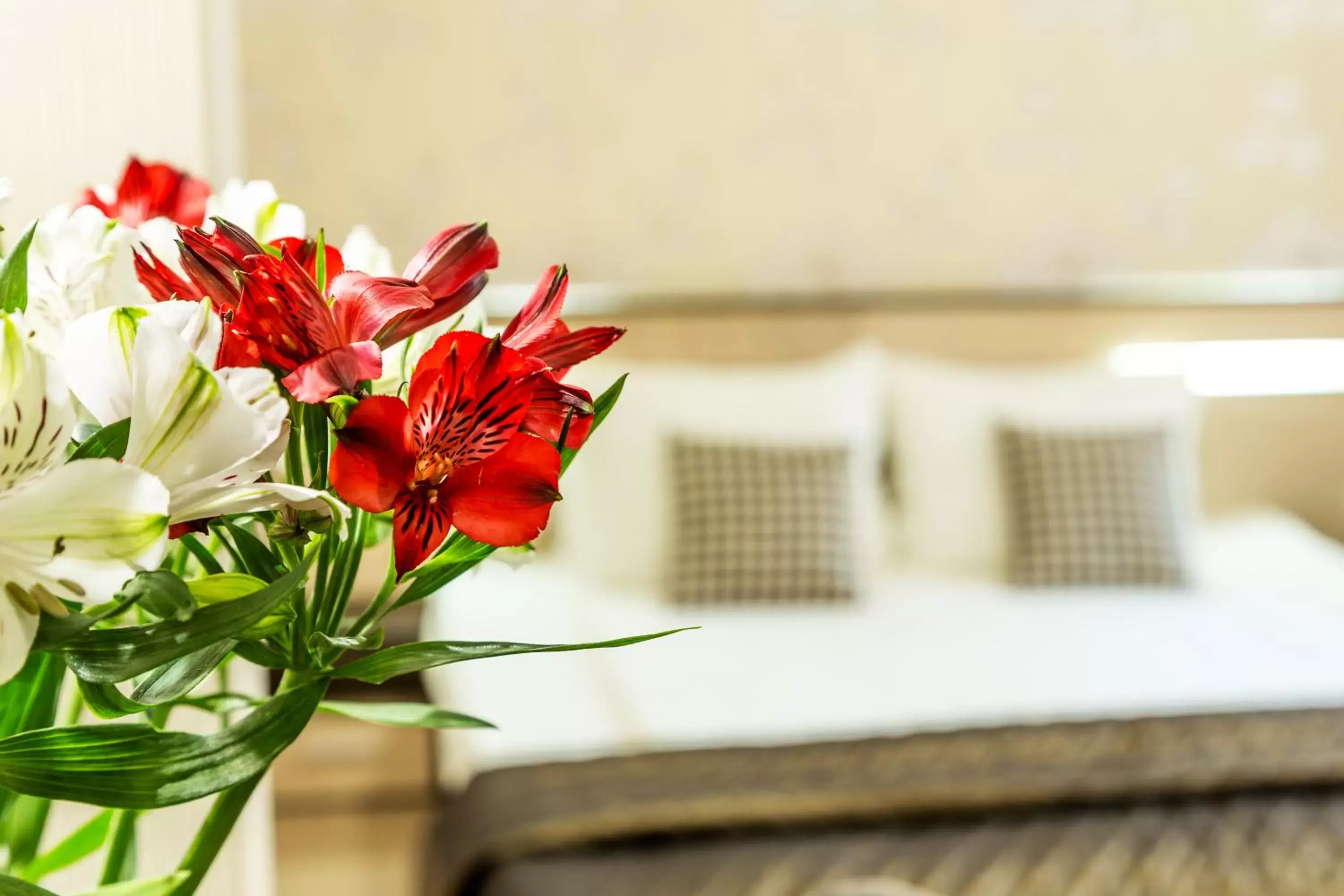 Bed in City Avenue Hotel Bed in City Avenue Hotel