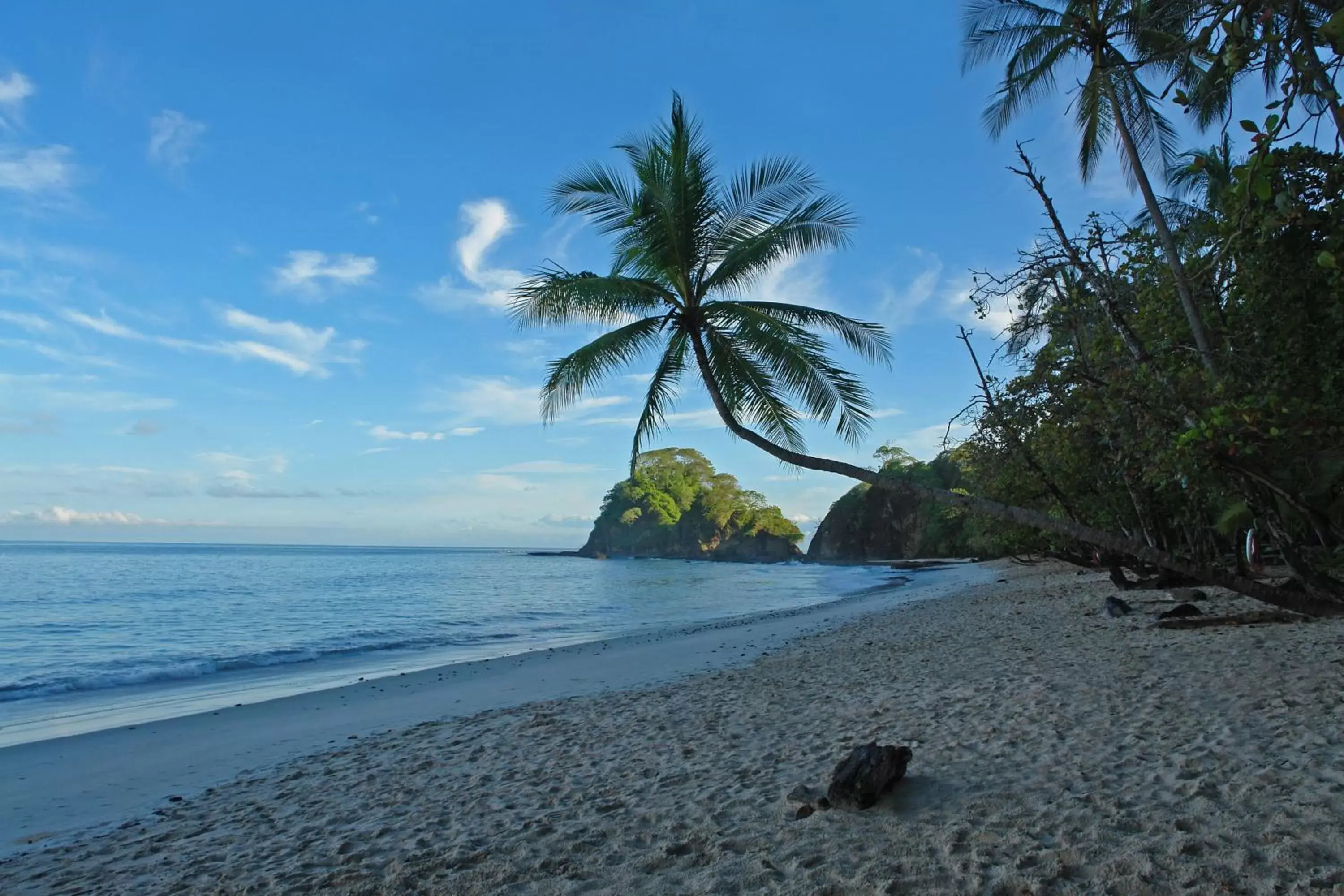 Beach in Hotel Punta Leona