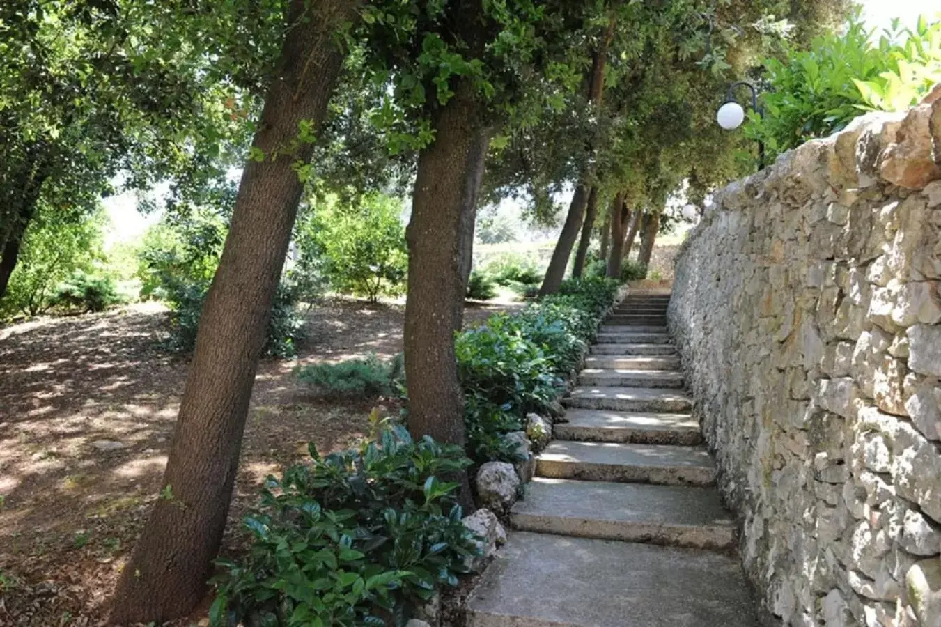 Garden in Hotel Villa Rosa