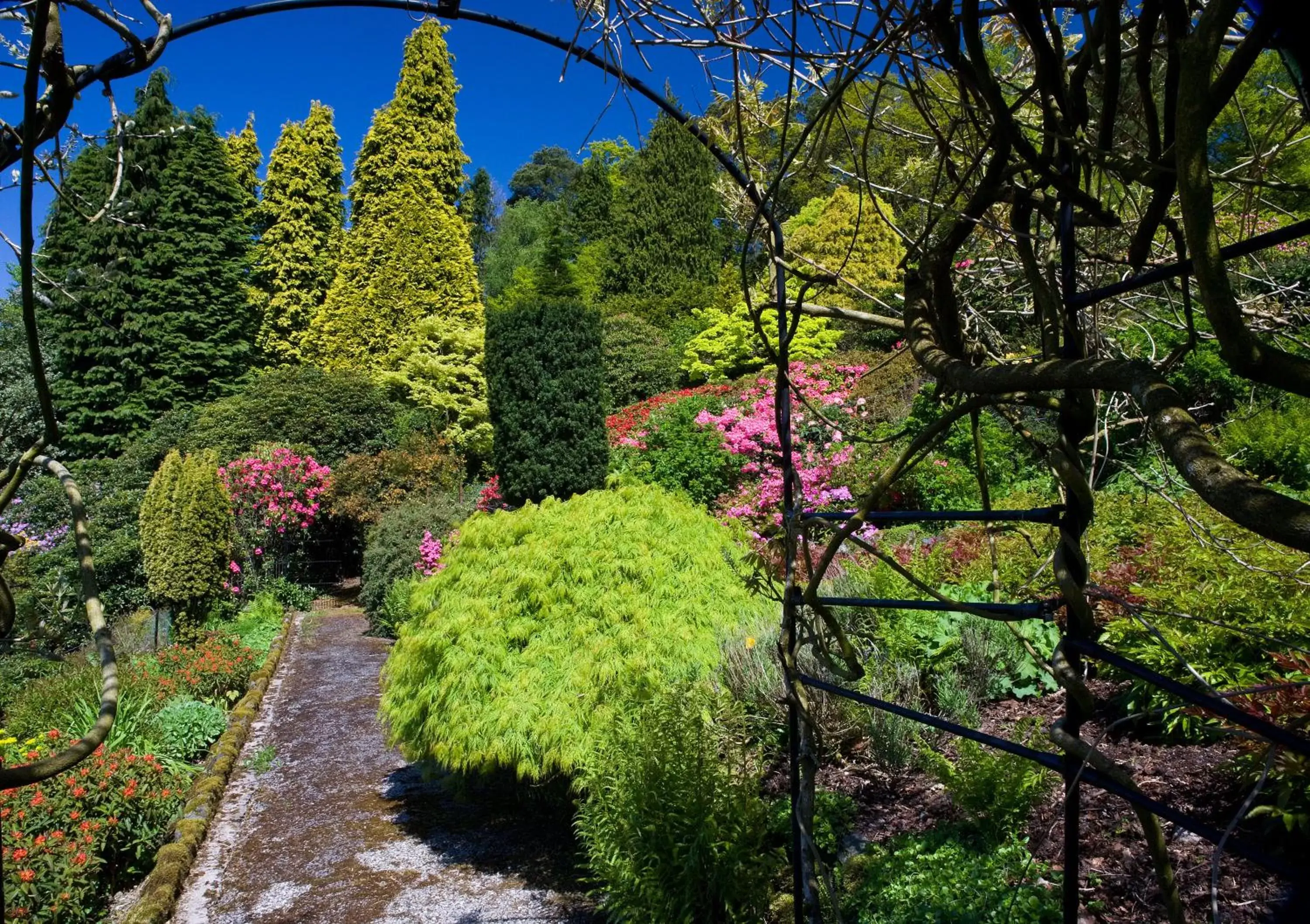 Garden in Lindeth Fell Country House