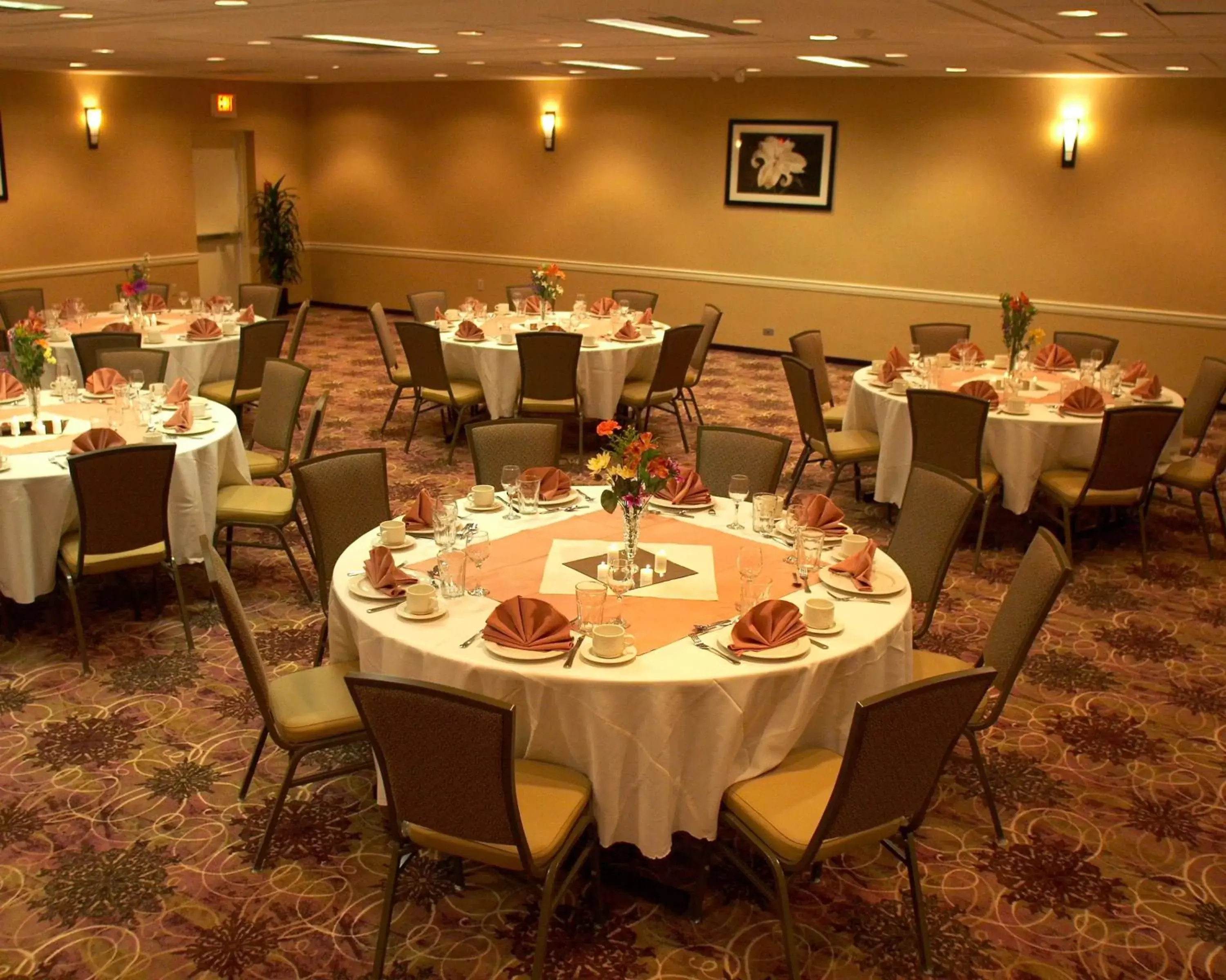 Banquet/Function facilities, Restaurant/Places to Eat in Armoni Inn & Suites