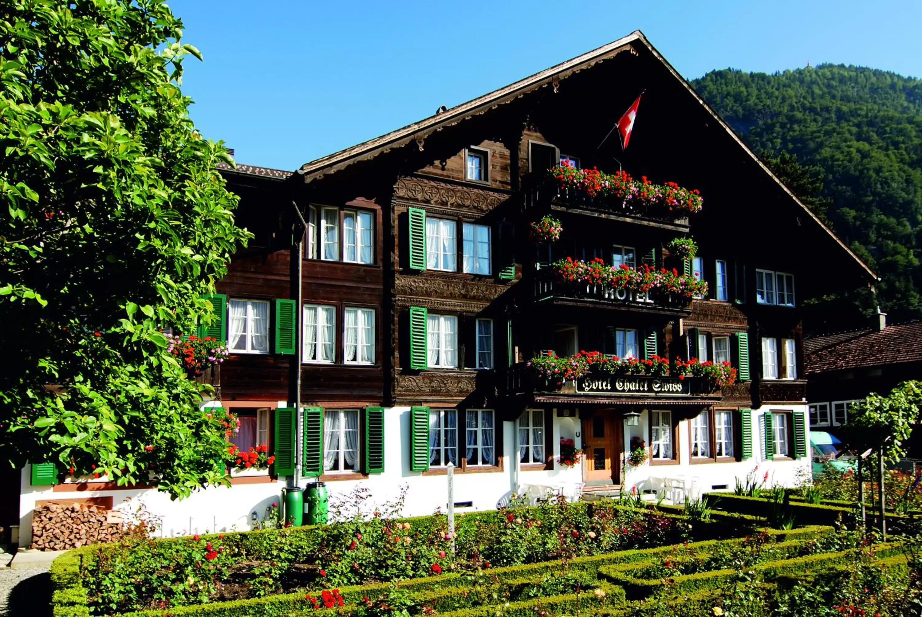 Area and facilities, Property Building in Hotel Chalet Swiss