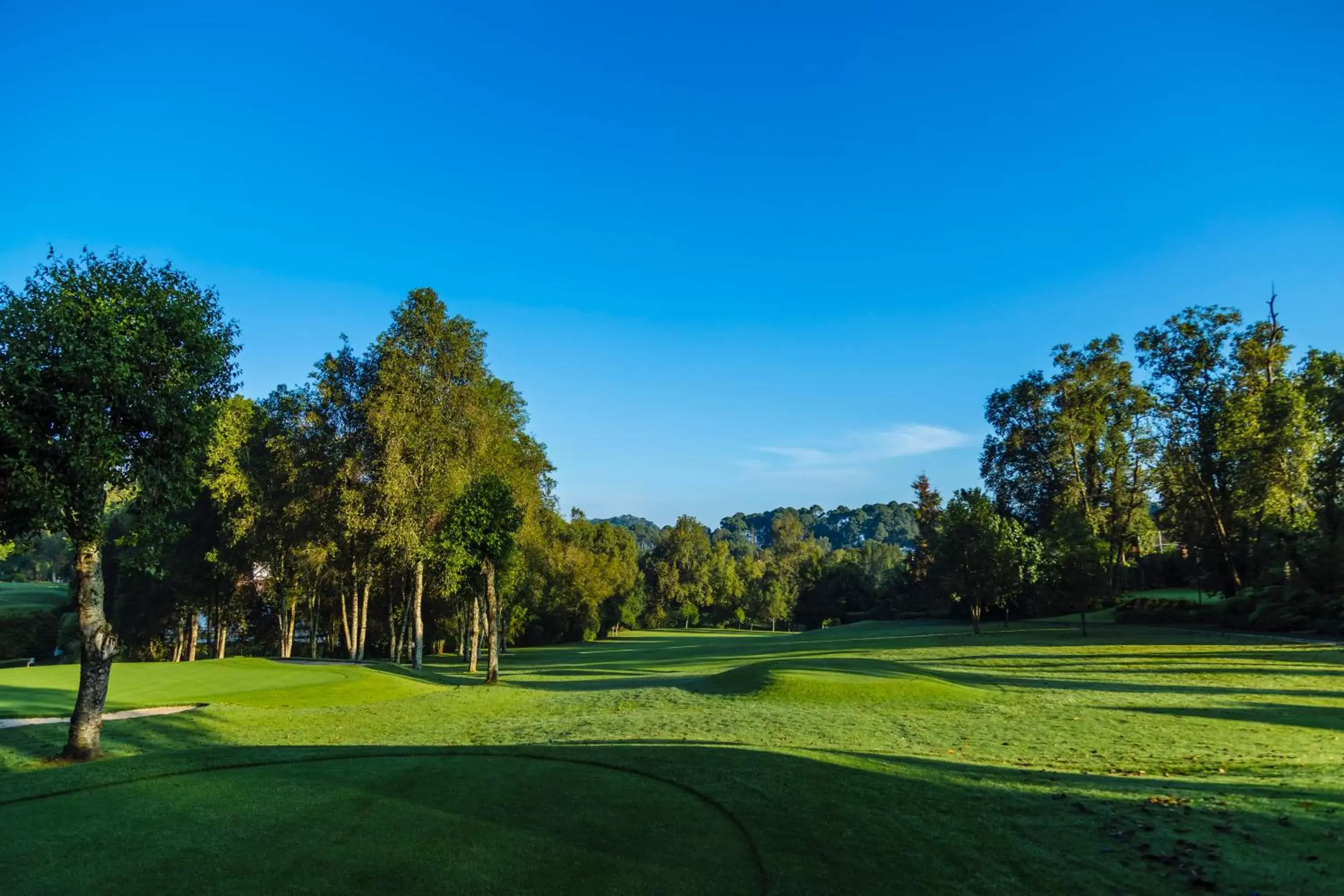 Golfcourse, Golf in Hotel Avandaro Golf & Spa Resort