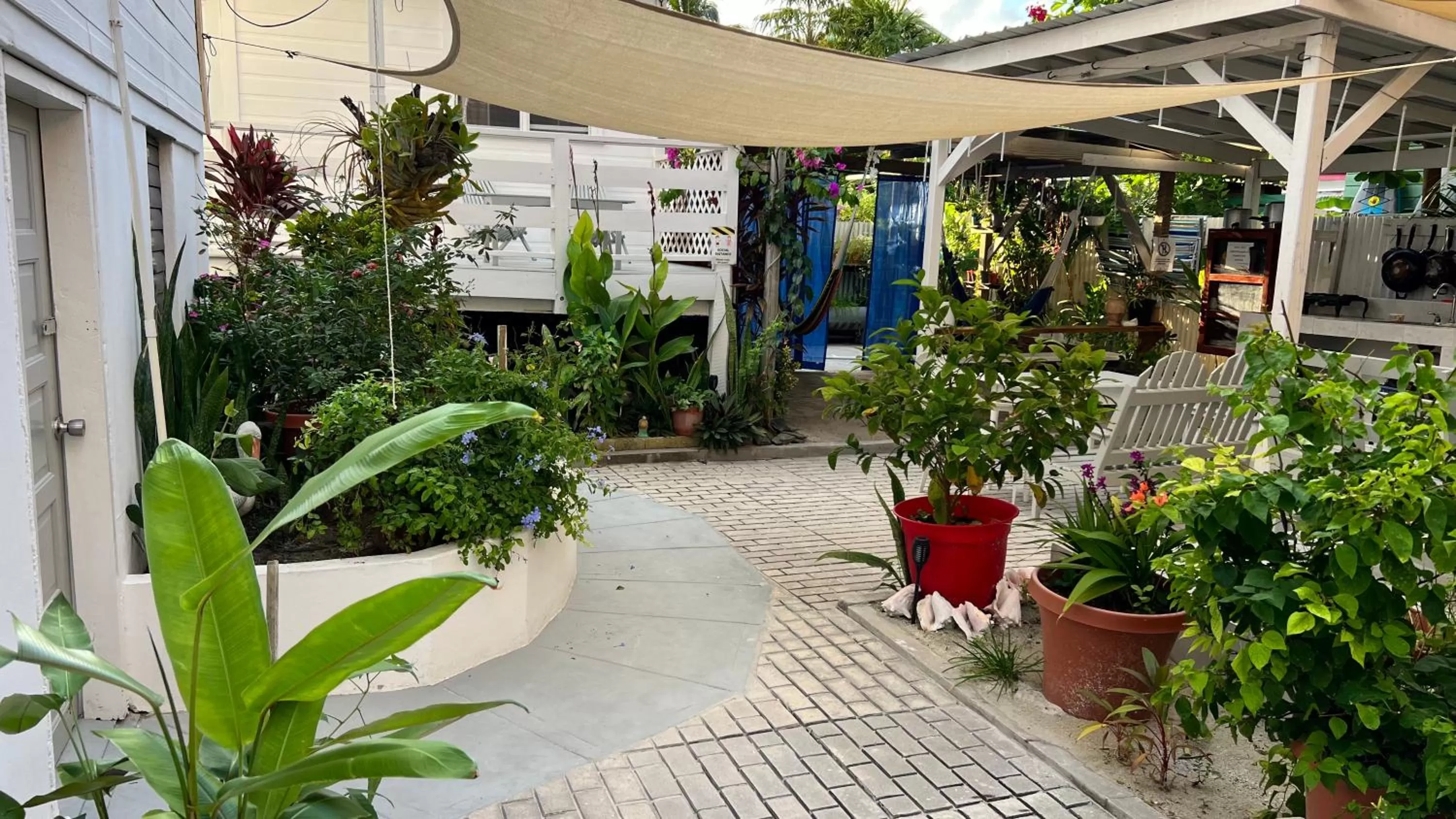 Garden in Blue Wave Guest House