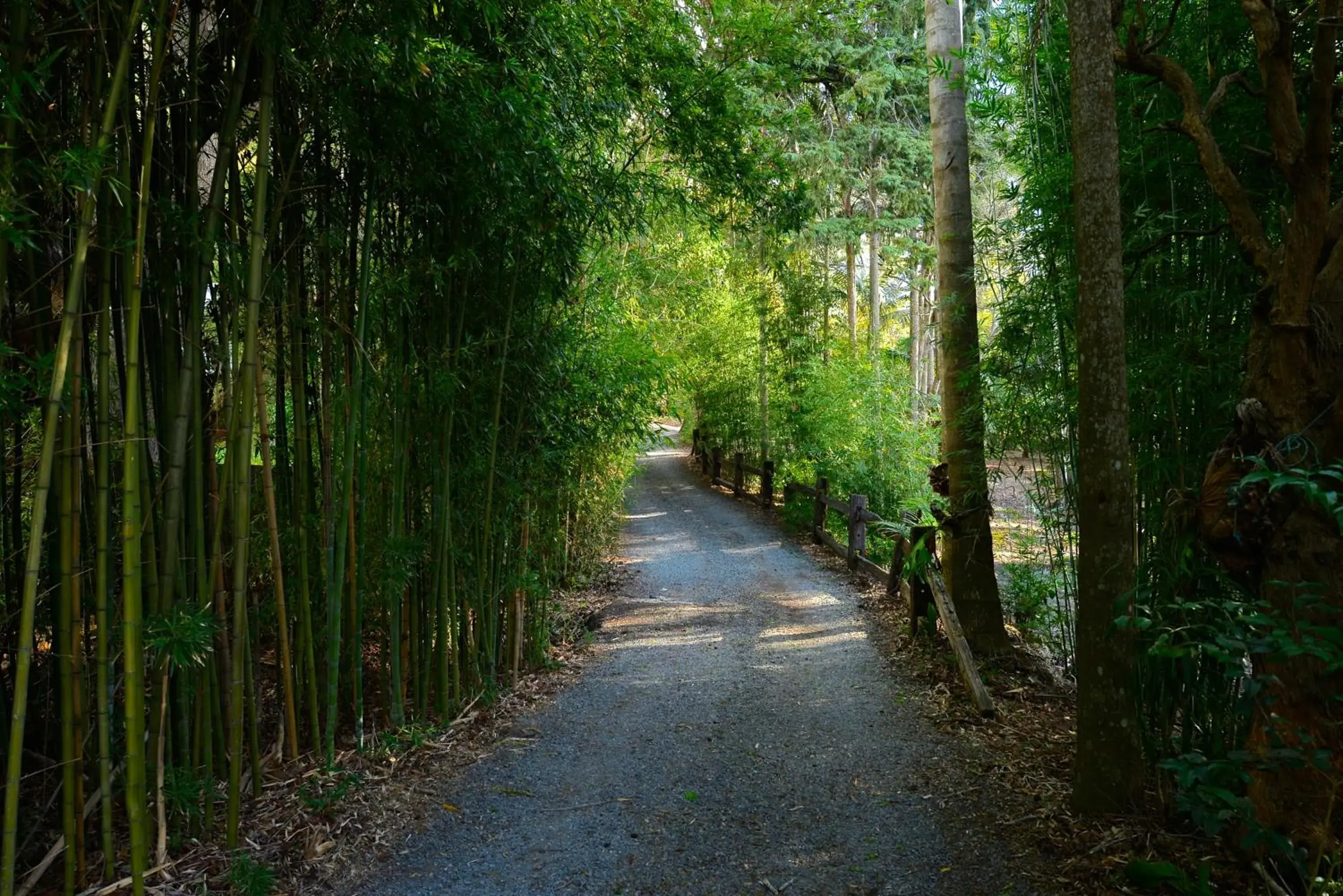 Garden in Escarpment Retreat & Day Spa for Couples