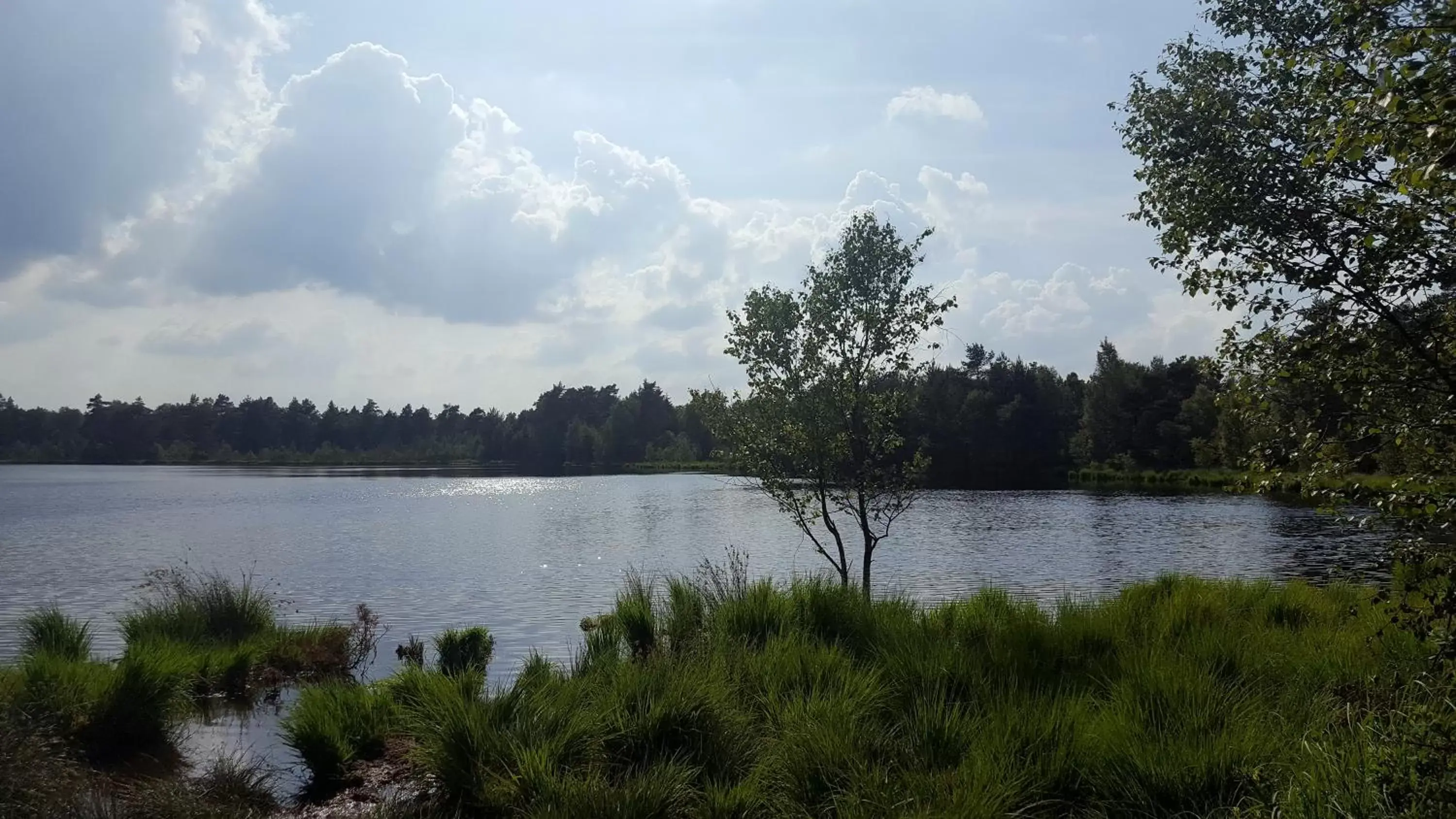 Nearby landmark in Ringhotel Forellenhof