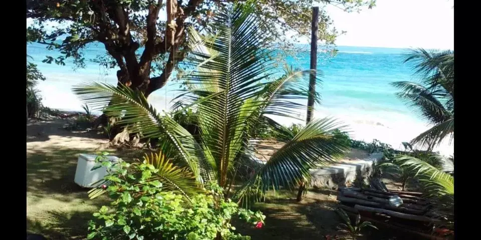 Port Antonio Brian's Beach House