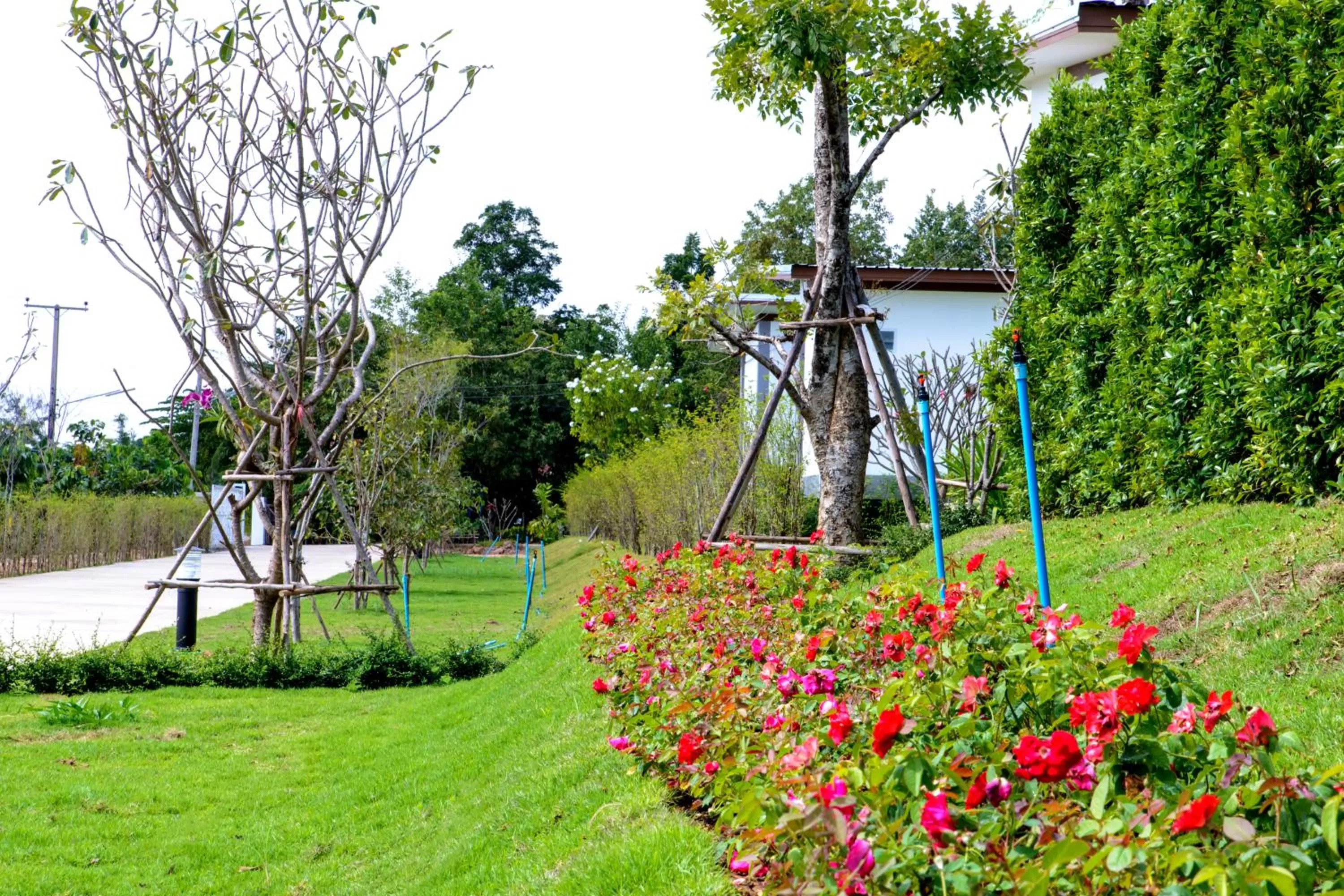 Children's Play Area in Baan Suan Thanwalai Khon Kaen