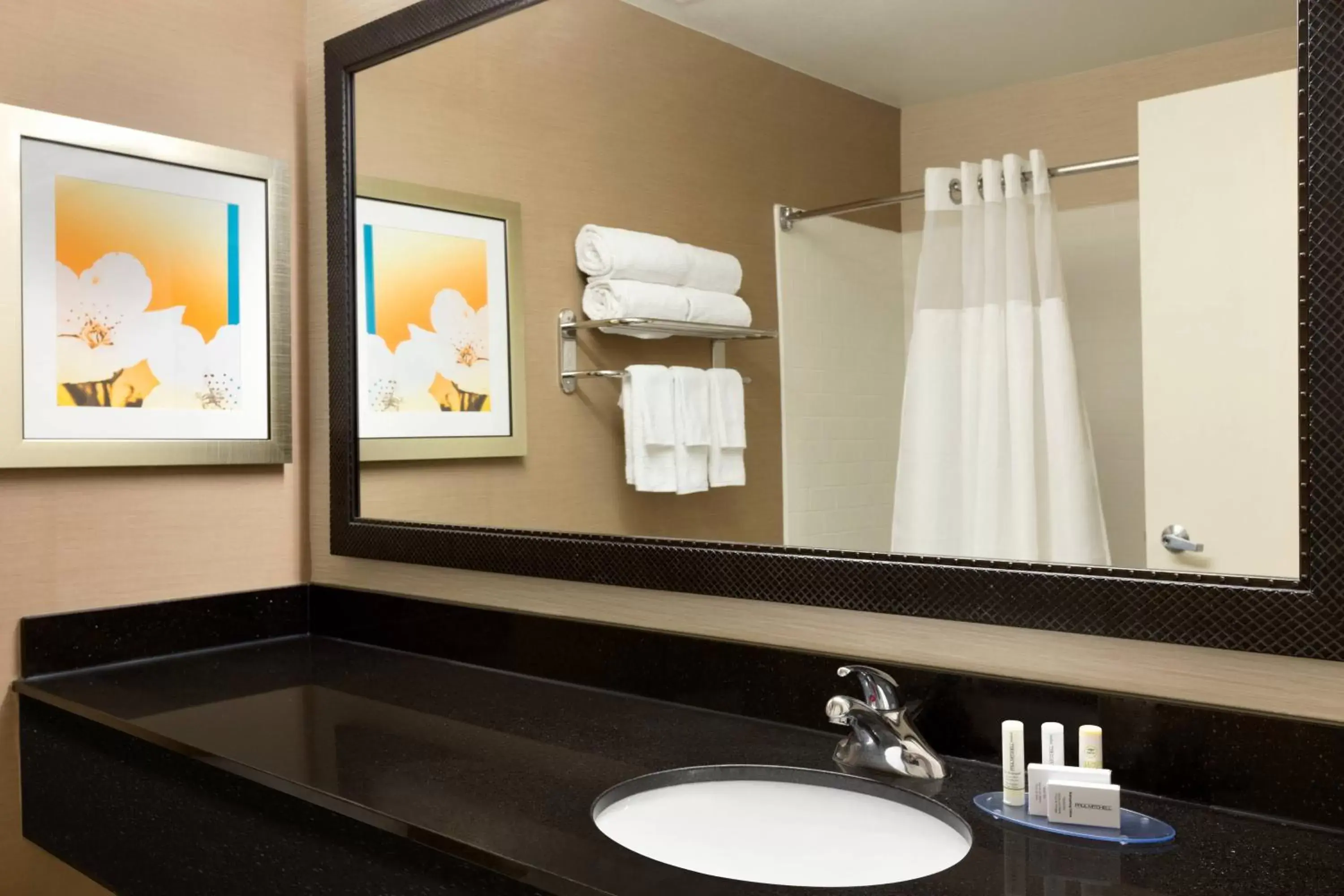 Bathroom in Fairfield Inn & Suites Dallas Mesquite