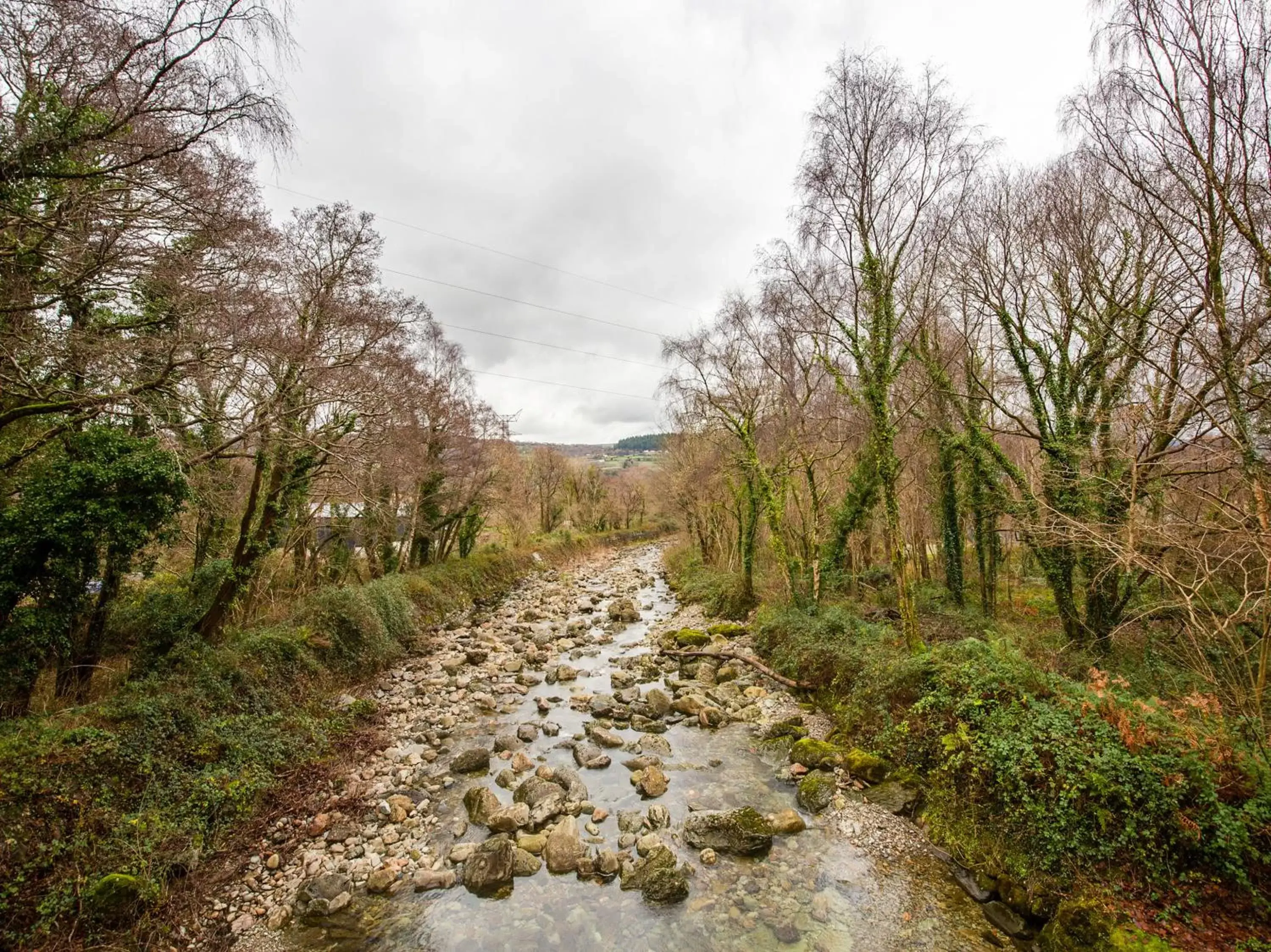 Natural Landscape in Conwy Valley Hotel