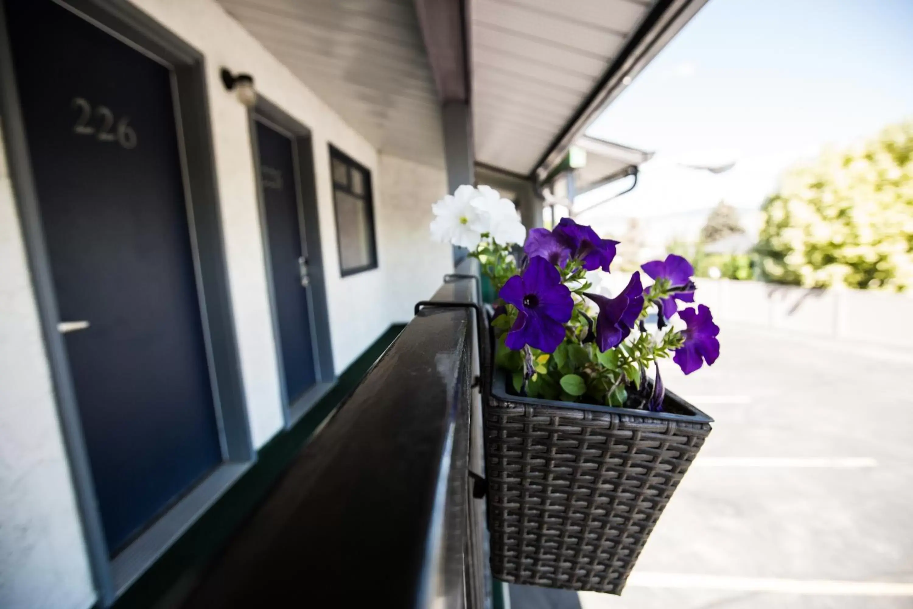 Garden, Balcony/Terrace in Grandview Motel