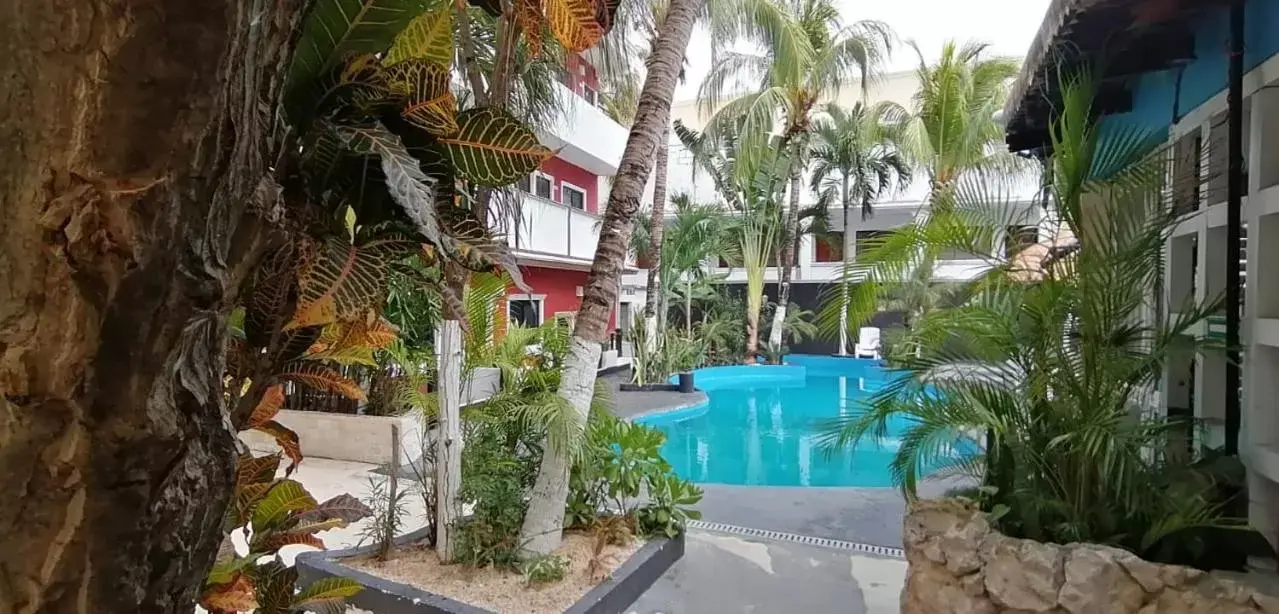 Swimming Pool in "5TH AVENUE" Beach Energy Hotel "by BFH"