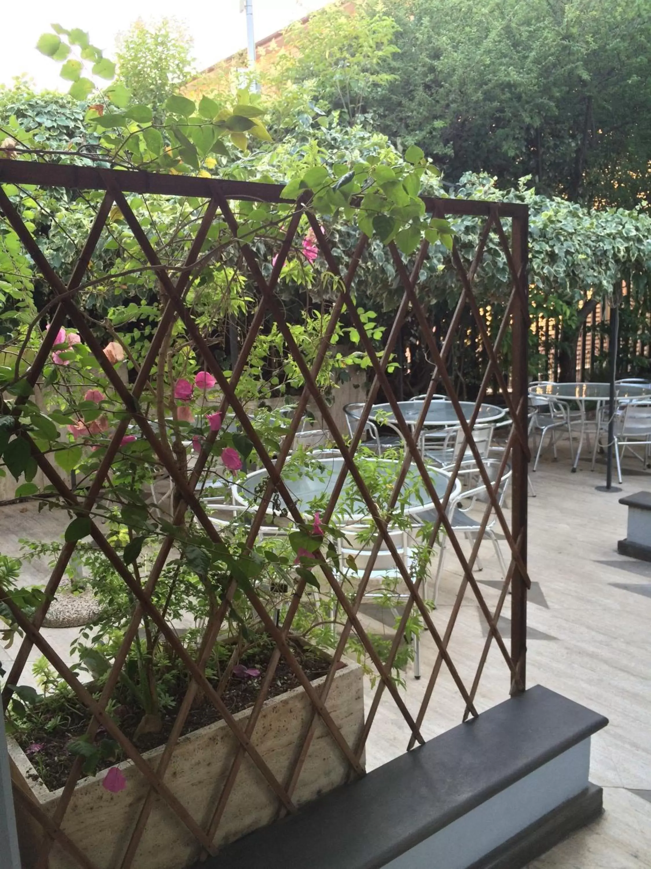 Garden, Balcony/Terrace in Hotel Letizia