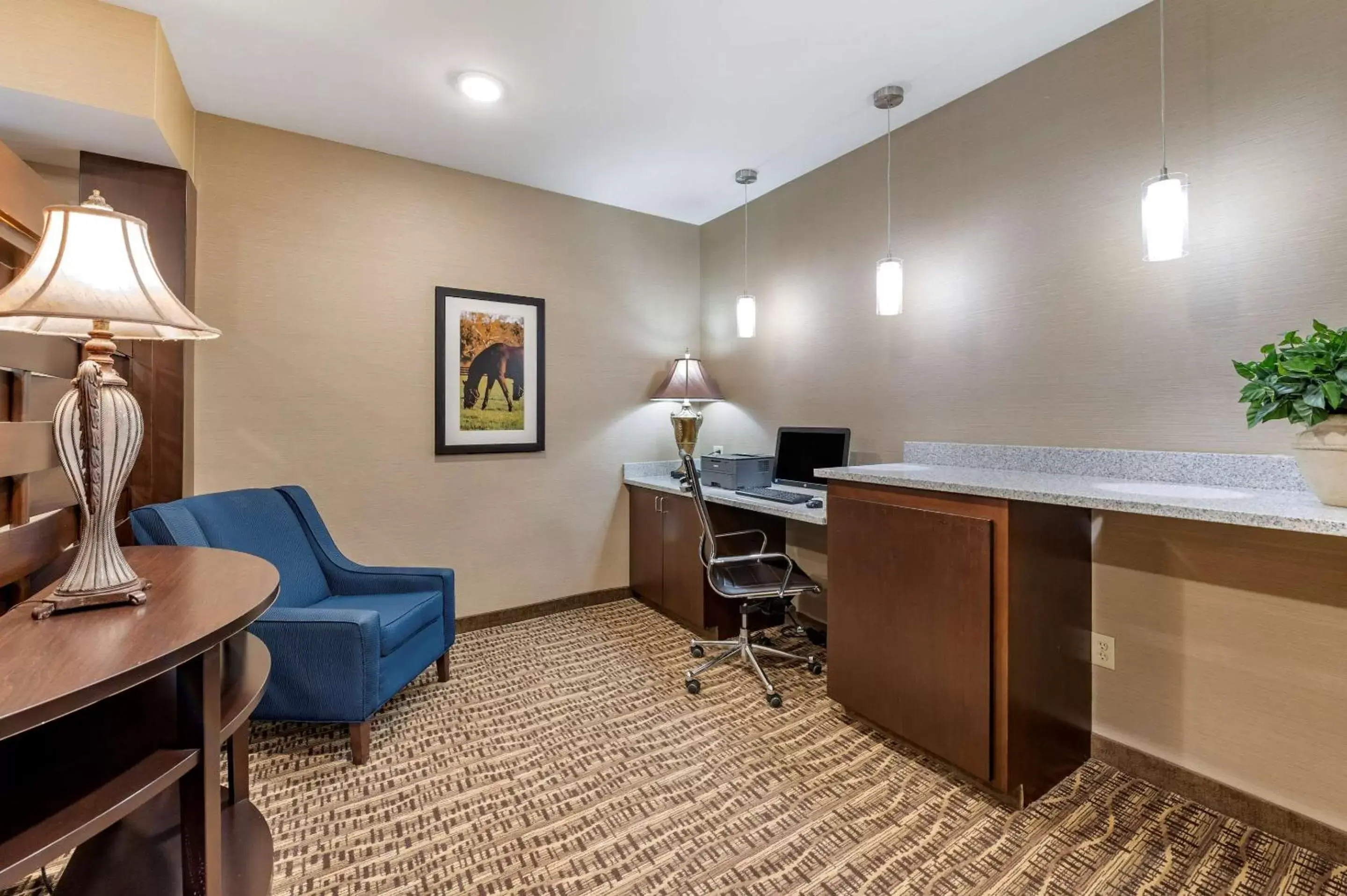 On site, TV/Entertainment Center in Comfort Inn & Suites Northern Kentucky
