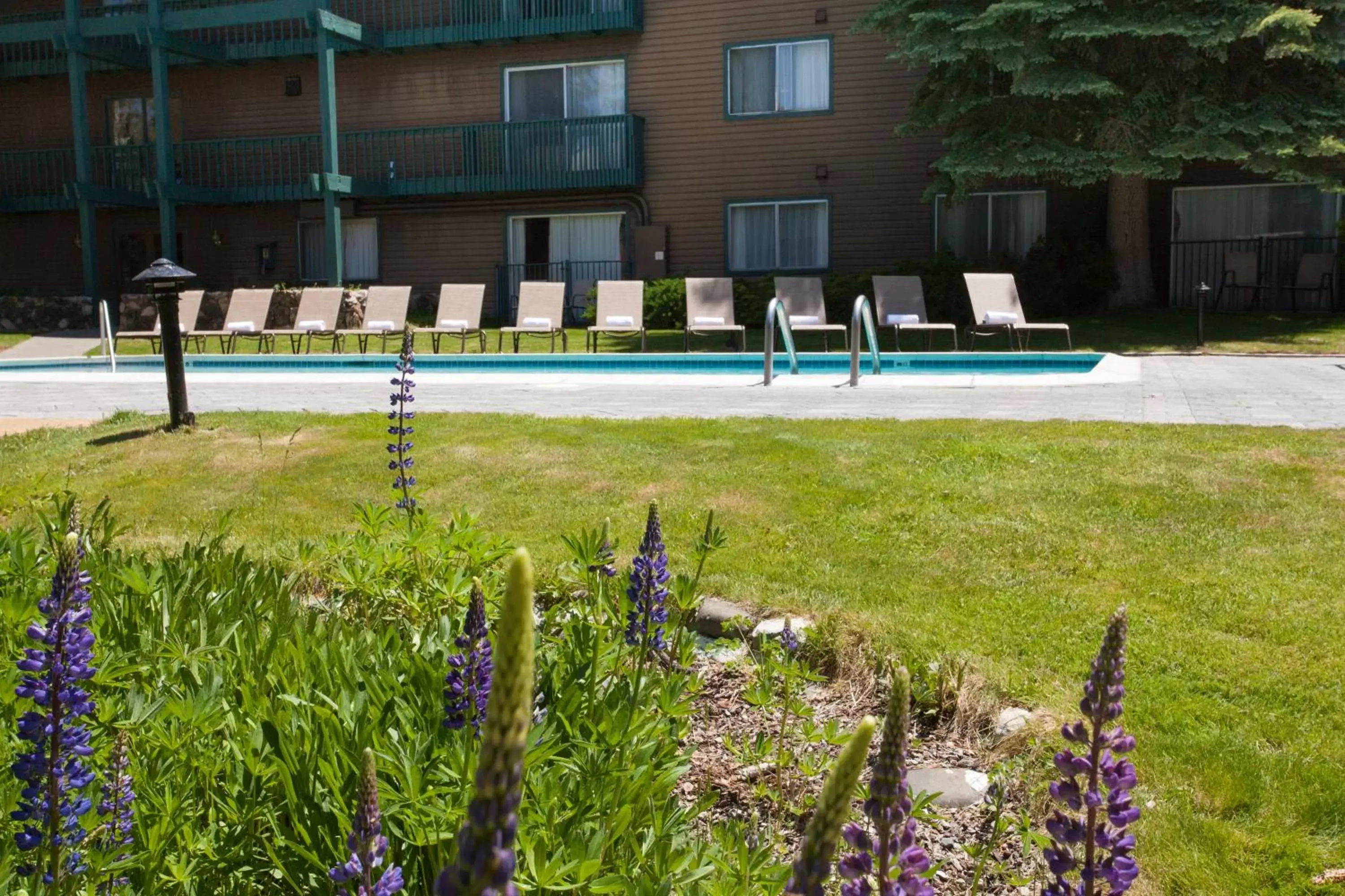 Swimming Pool in Forest Suites Resort at the Heavenly Village