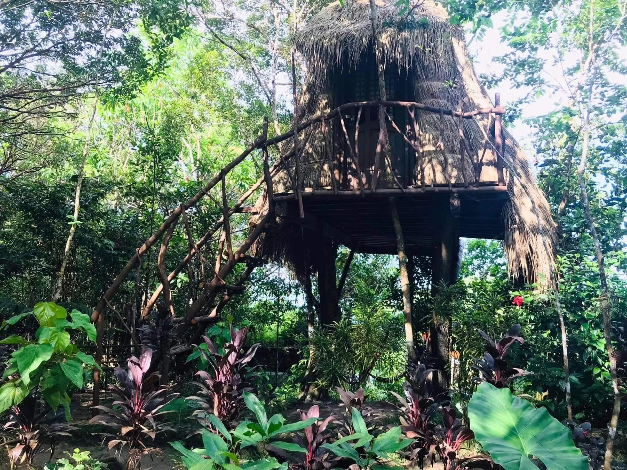 Sanctuaria Treehouses Busuanga