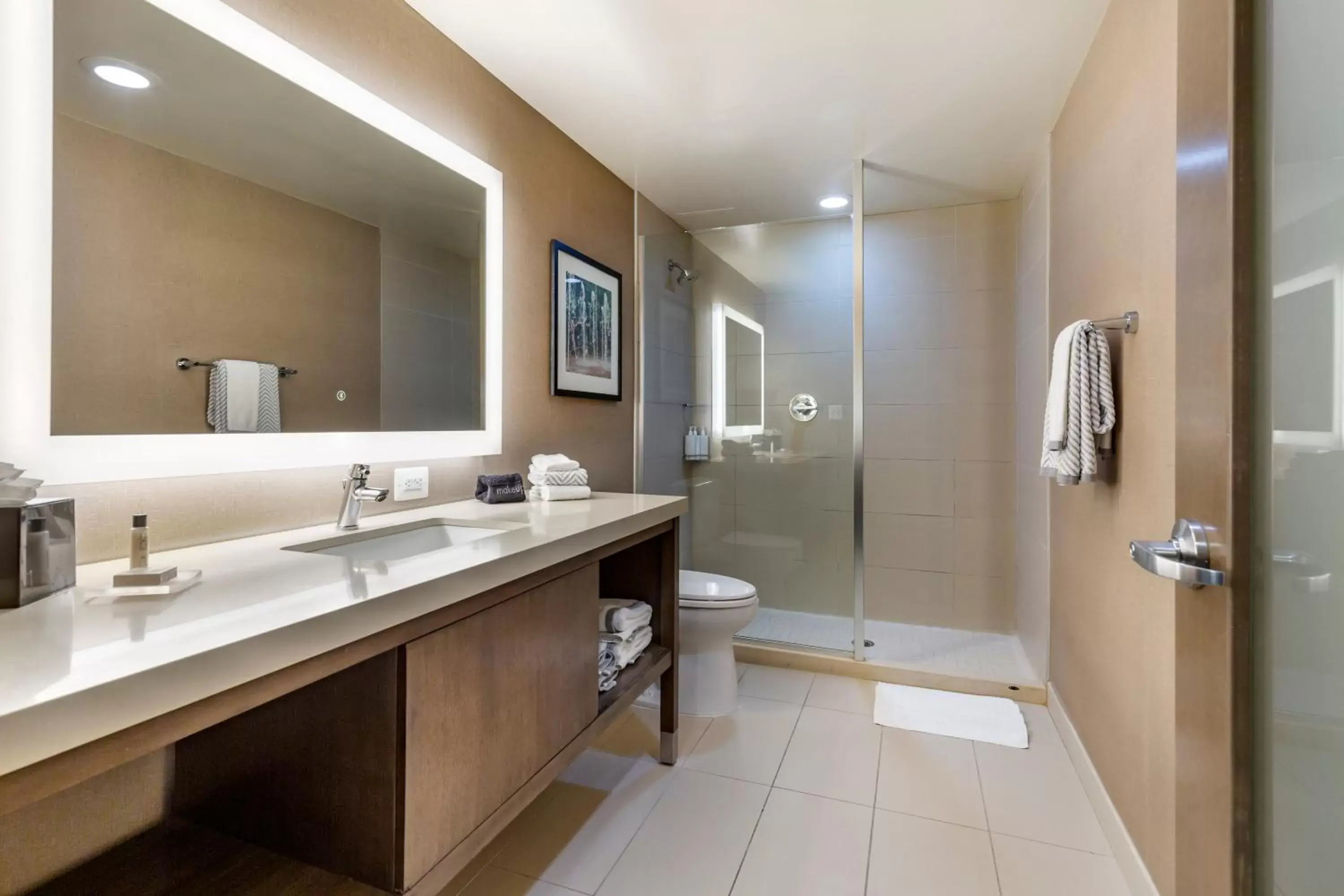 Shower, Bathroom in Cambria Hotel Rockville