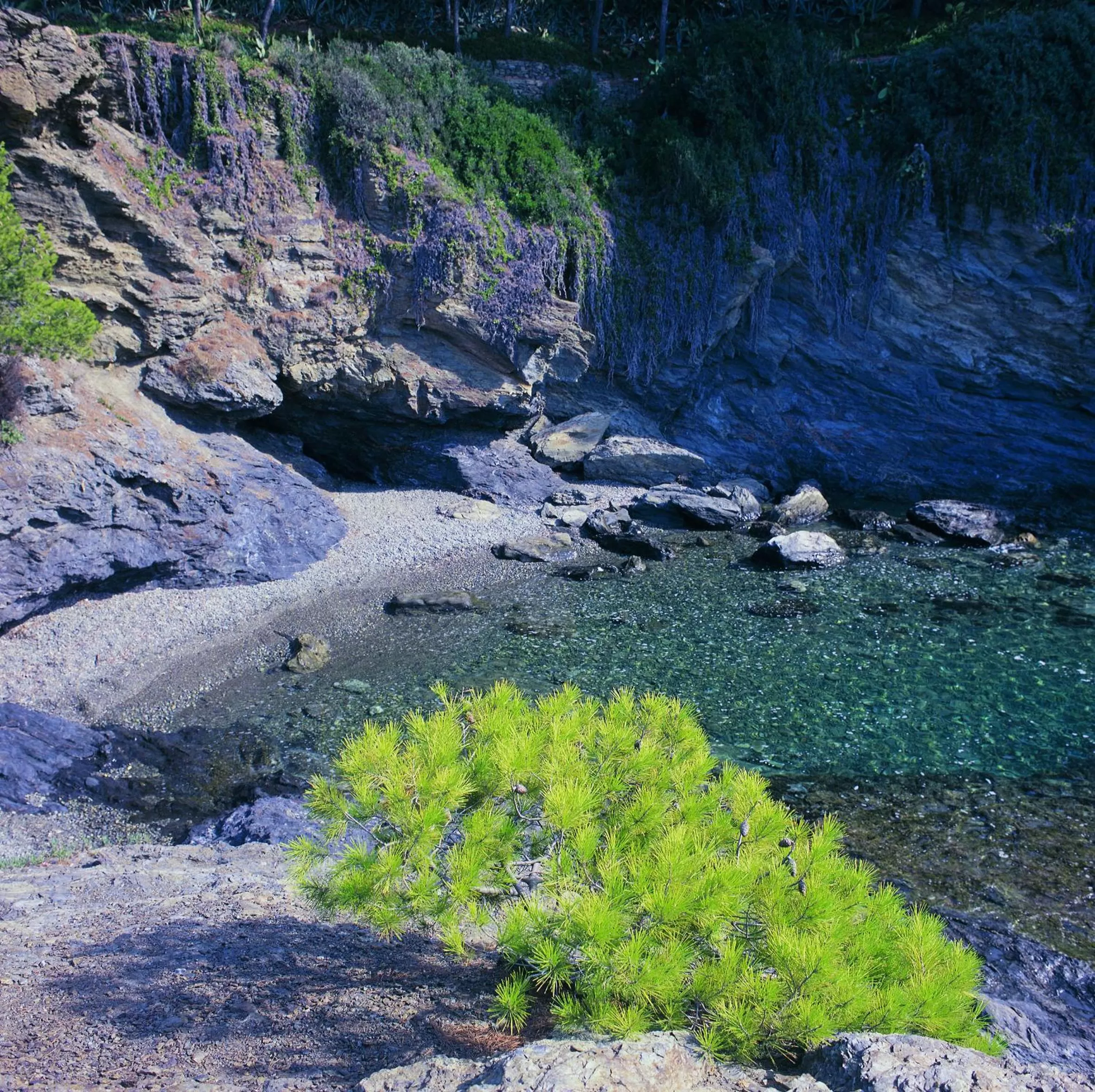 Natural landscape in Hotel & Apartaments Thalassa Sport & Wellness