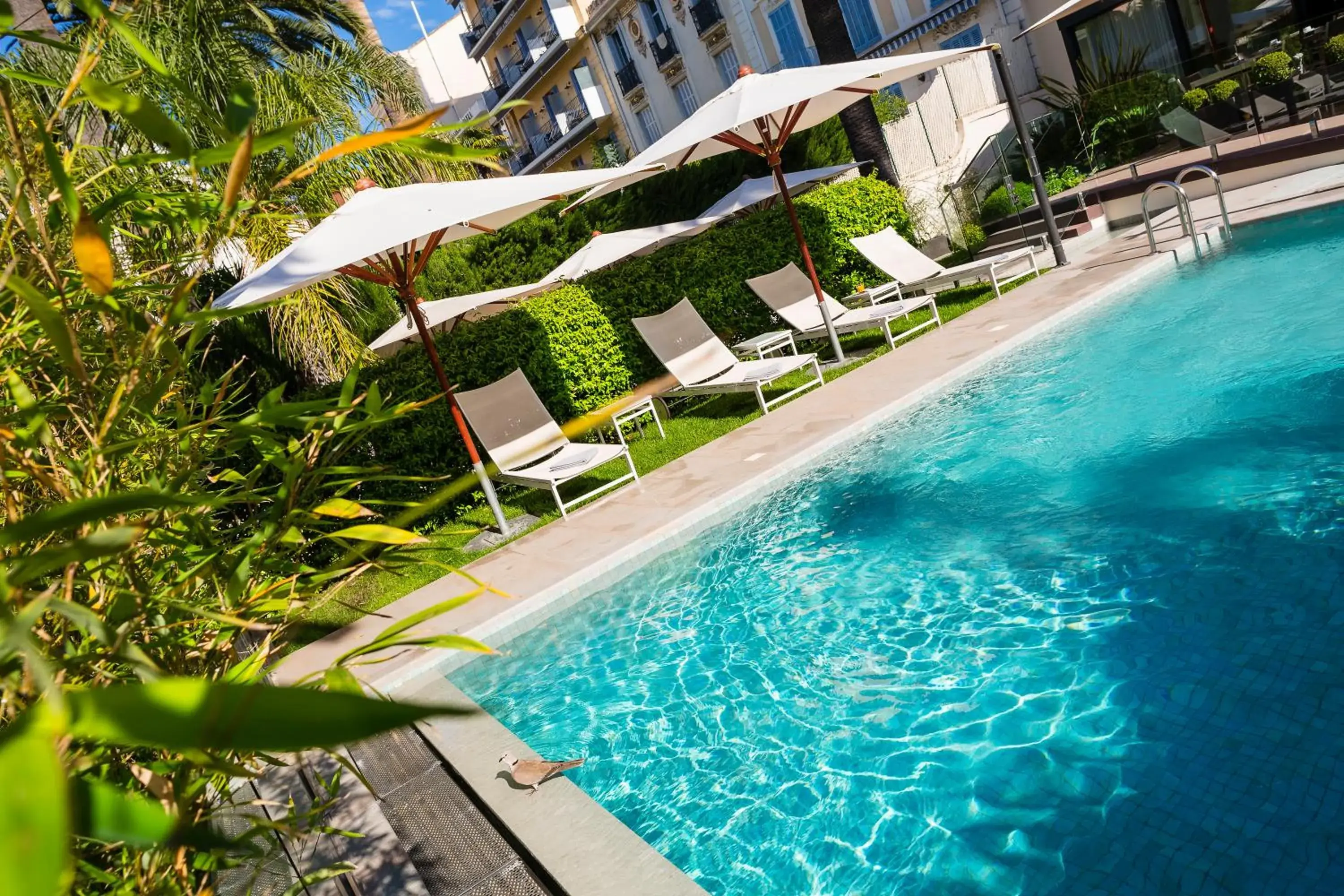 Swimming Pool in Hôtel Le Canberra