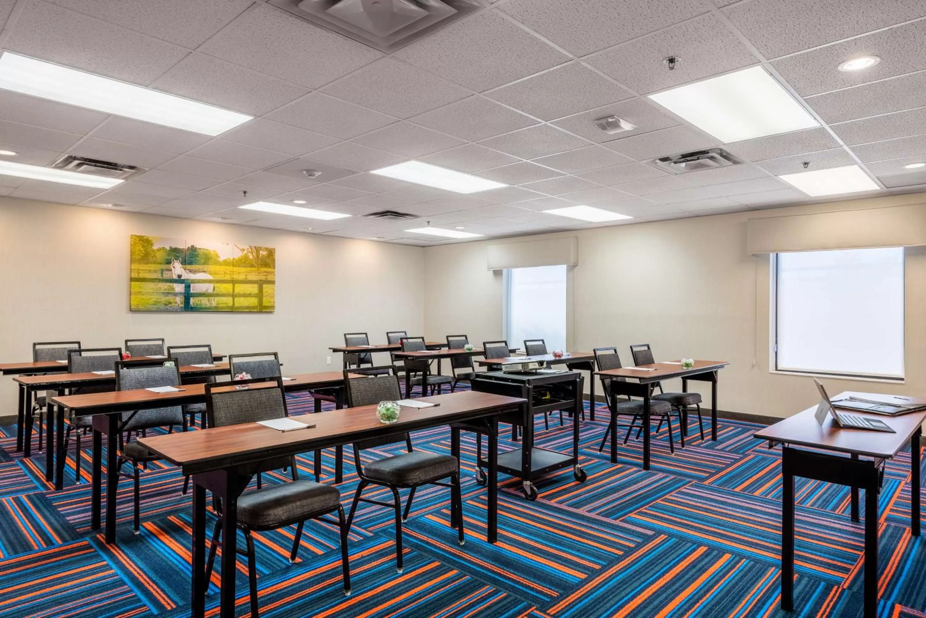 Meeting/conference room in Hampton Inn & Suites Hopkinsville