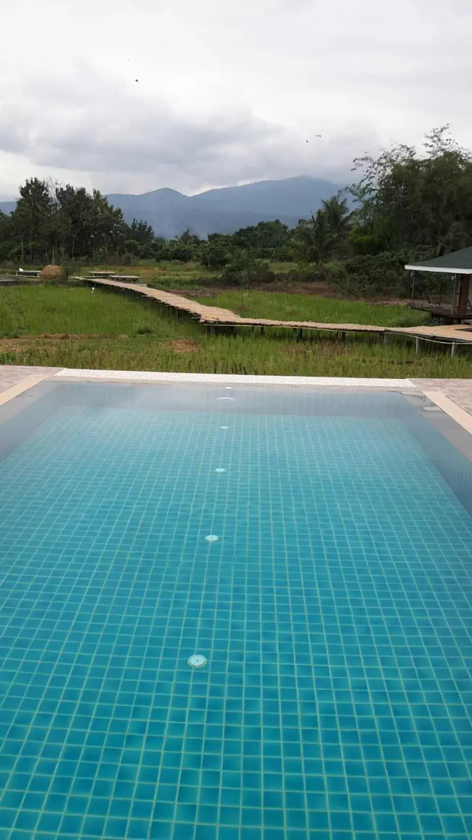 Swimming Pool in Nok Chan Mee Na