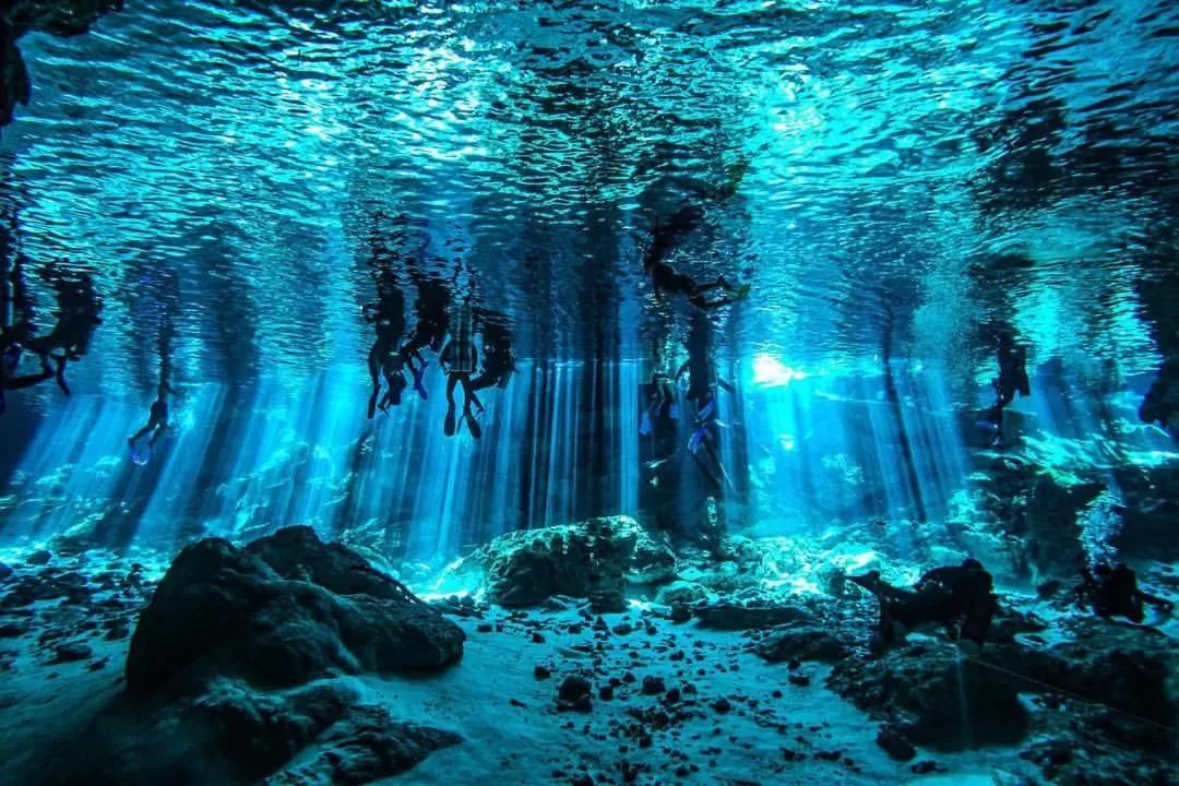 Activities in Maria Del Mar Tulum - Adults Only