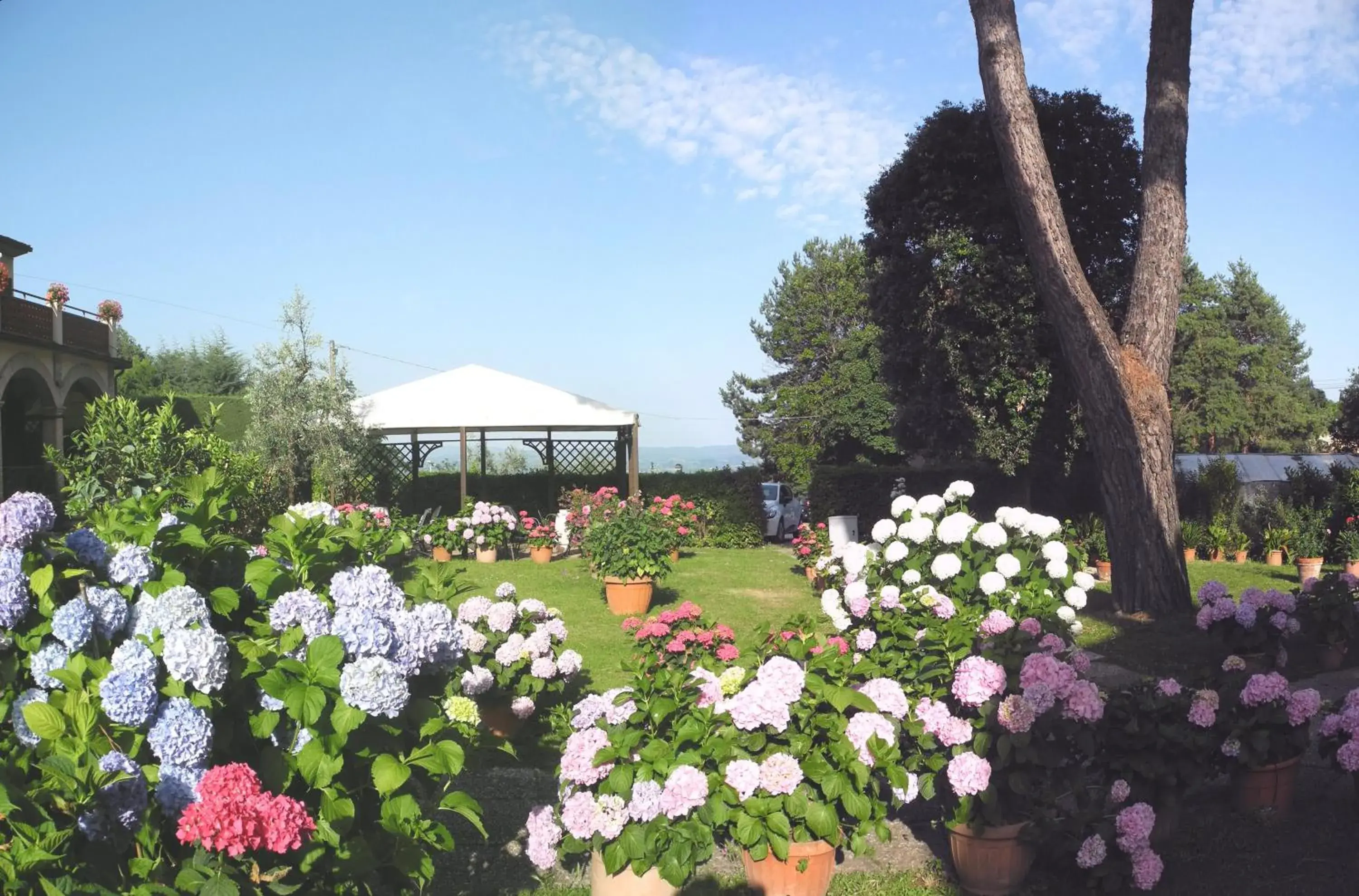 Garden in Hotel Le Renaie