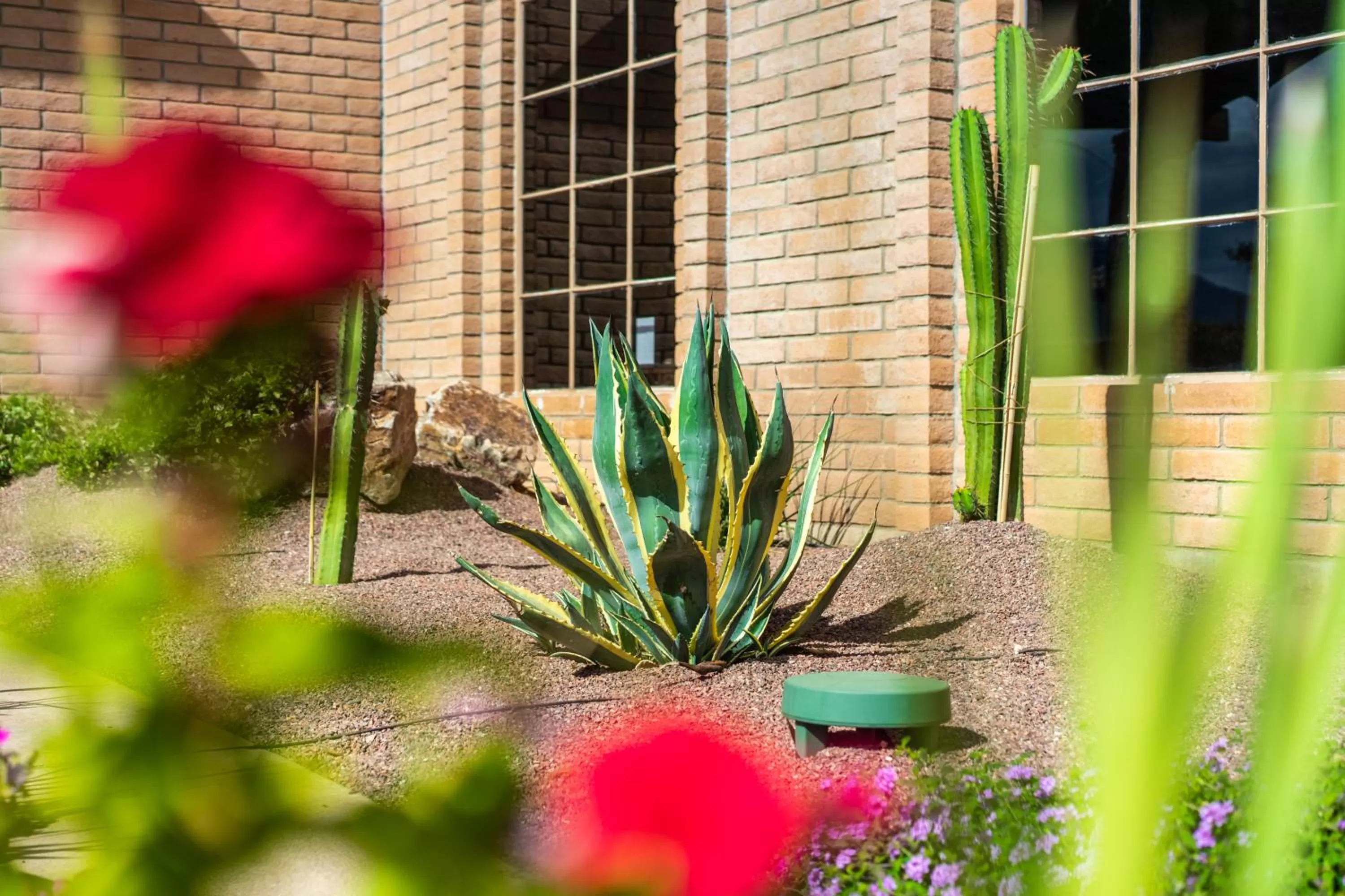Garden in Sierra Suites Boutique Hotel