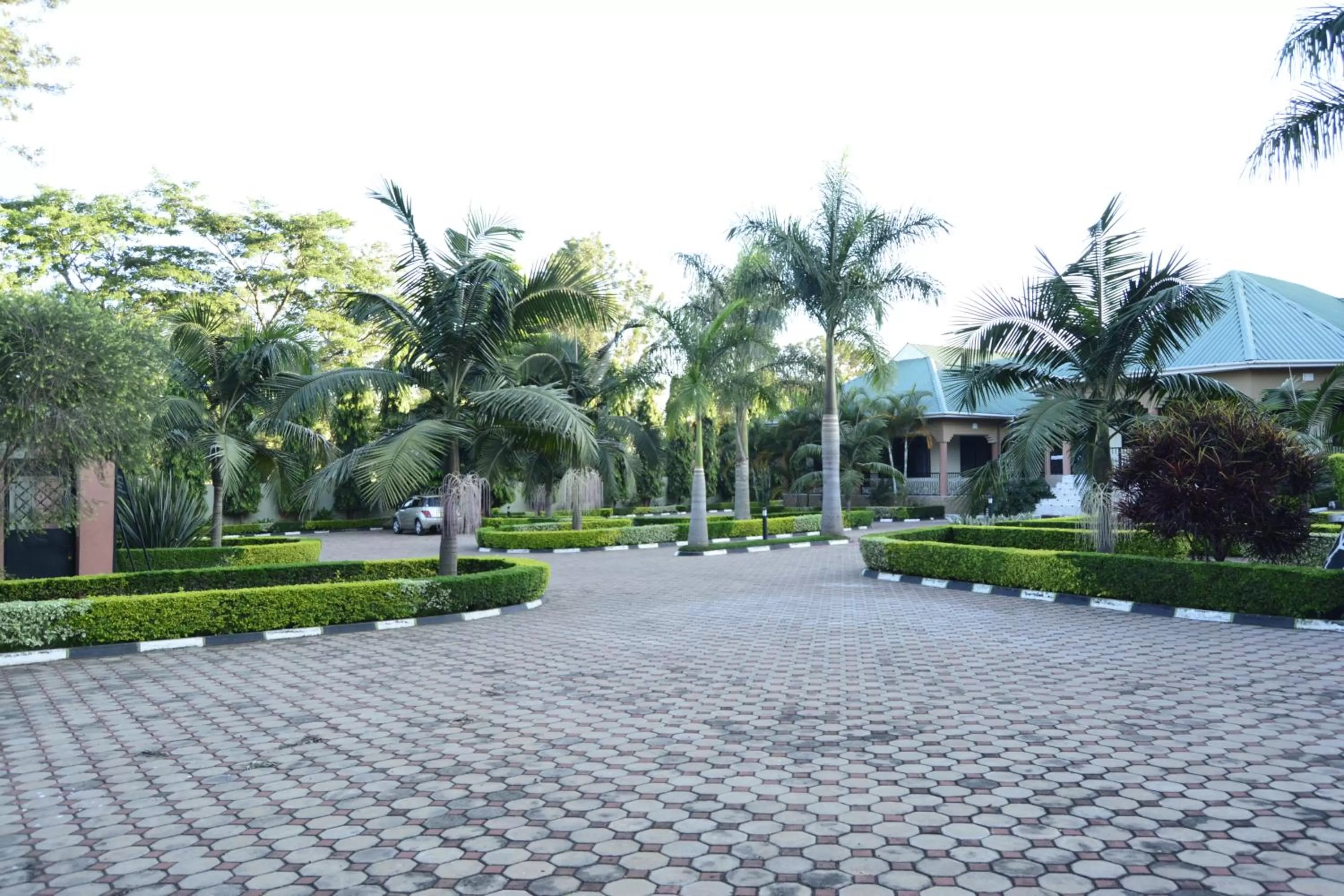 Natural landscape in Africa Lodge Arusha