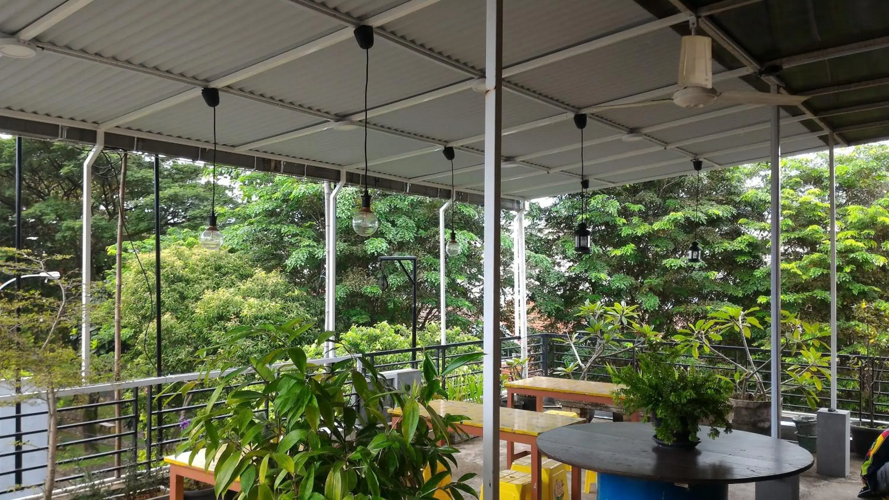 Balcony/Terrace in Casa Vanda Guesthouse